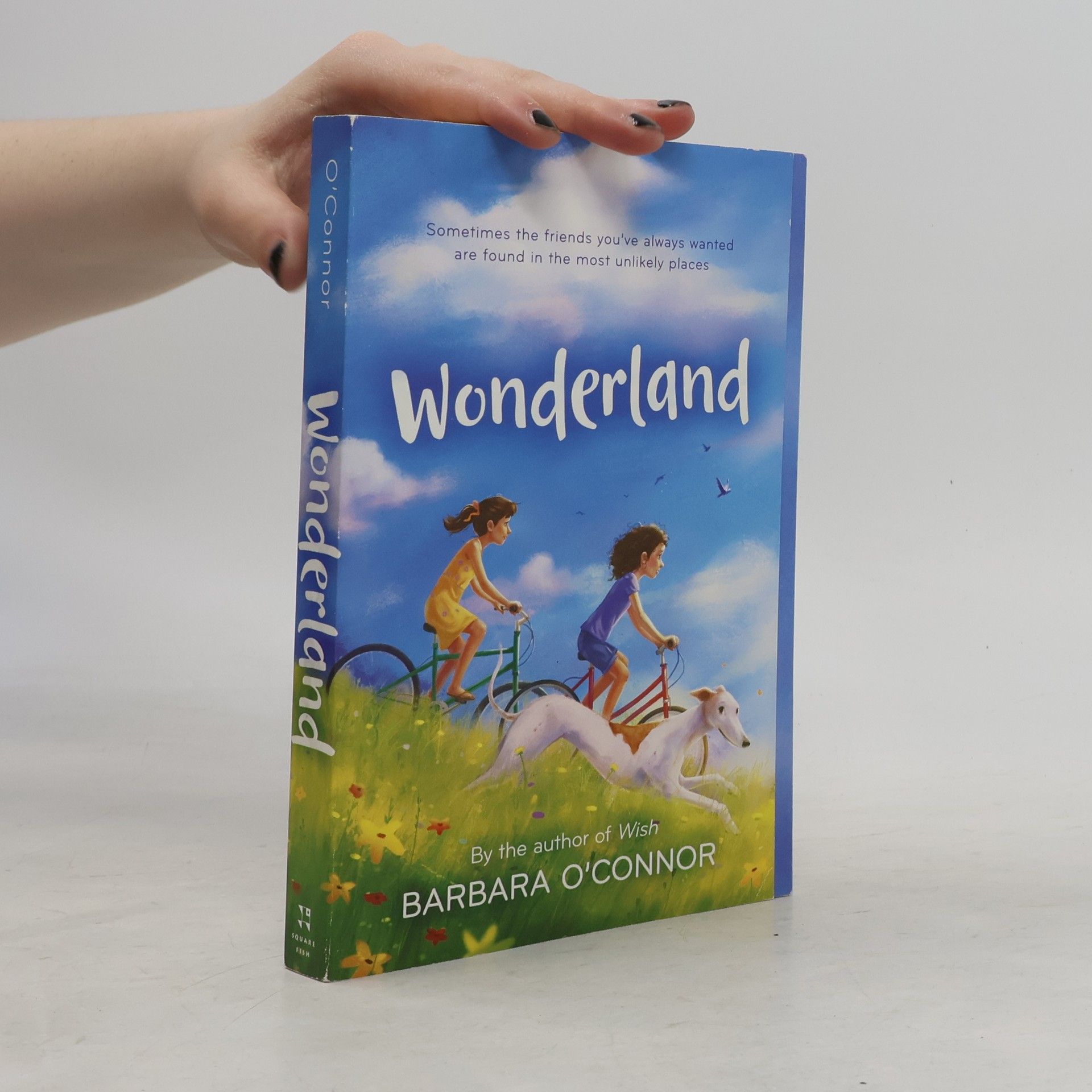 Wonderland