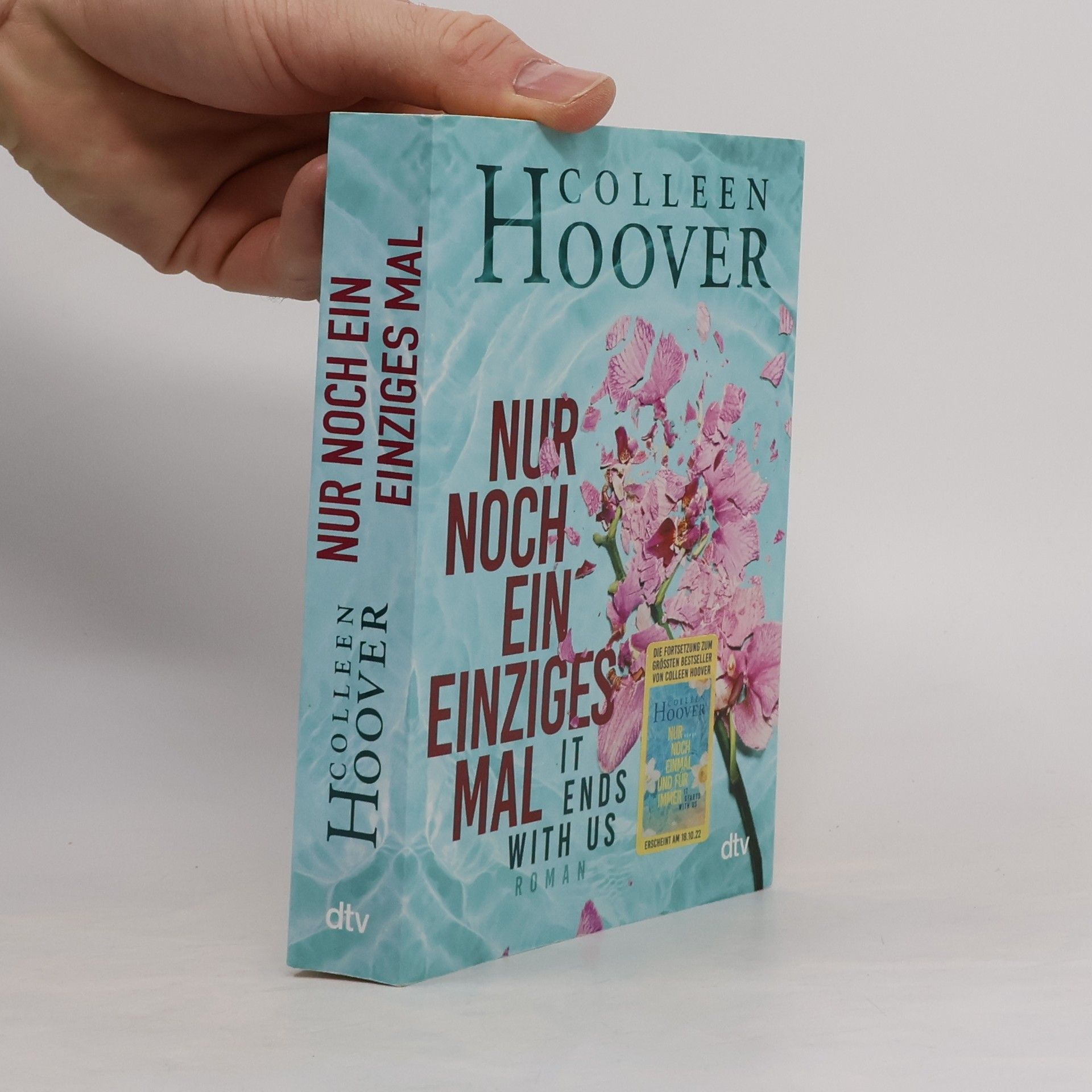 Colleen Hoover Nur noch ein einziges Mal