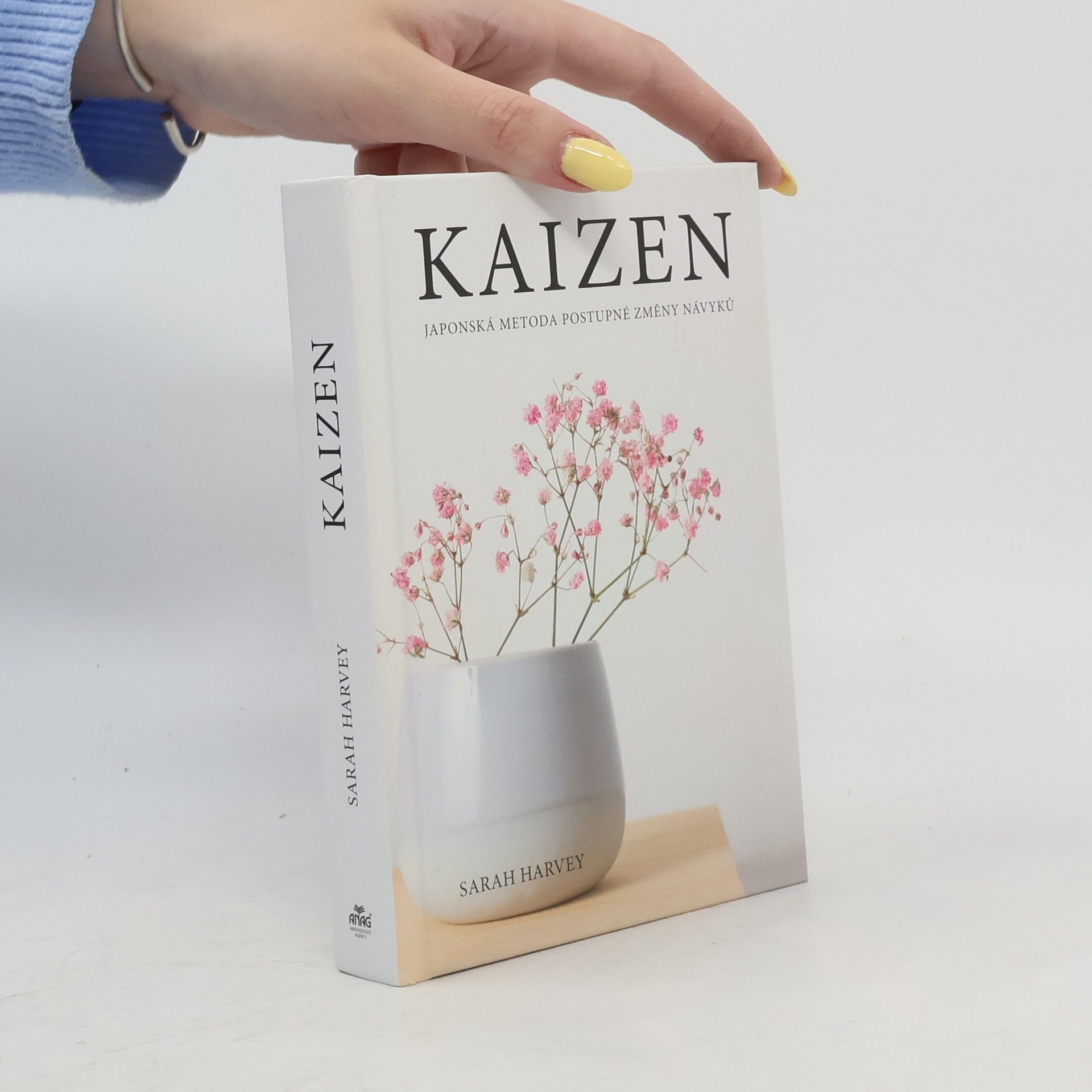 Sarah Harvey Kaizen: Japonská metoda postupné změny návyků