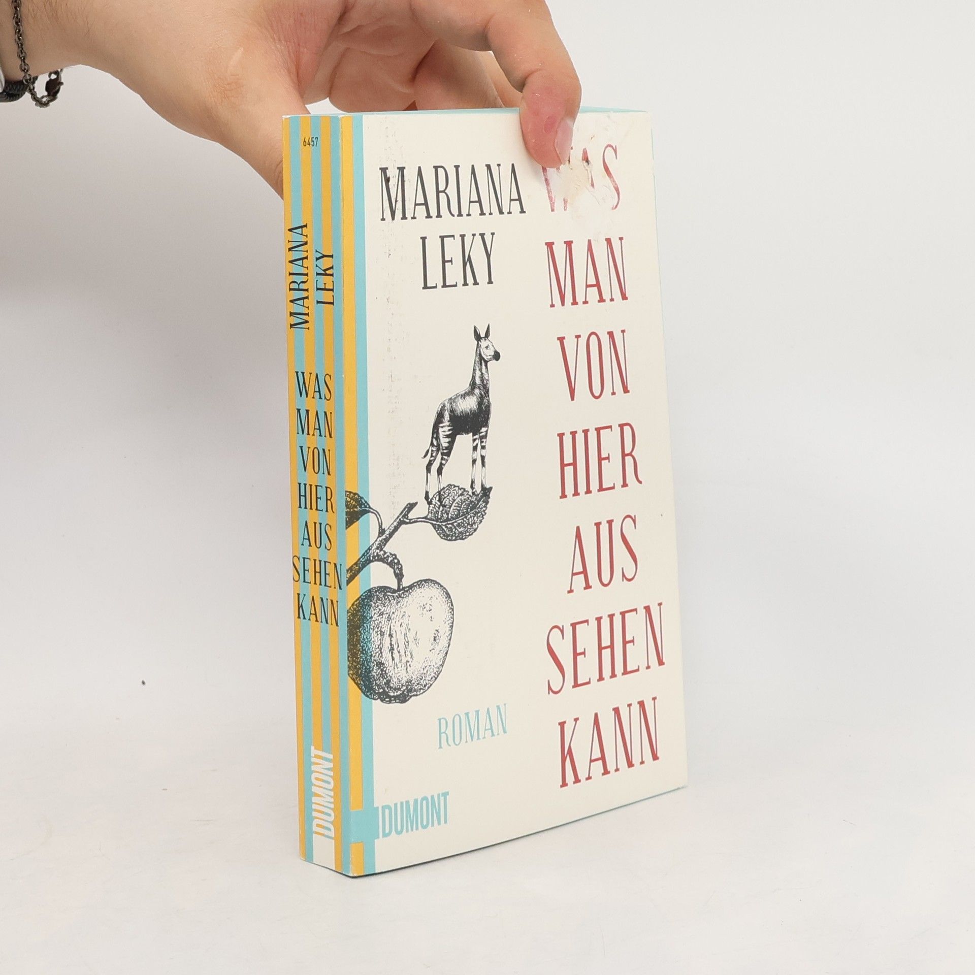 Mariana Leky Was man von hier aus sehen kann