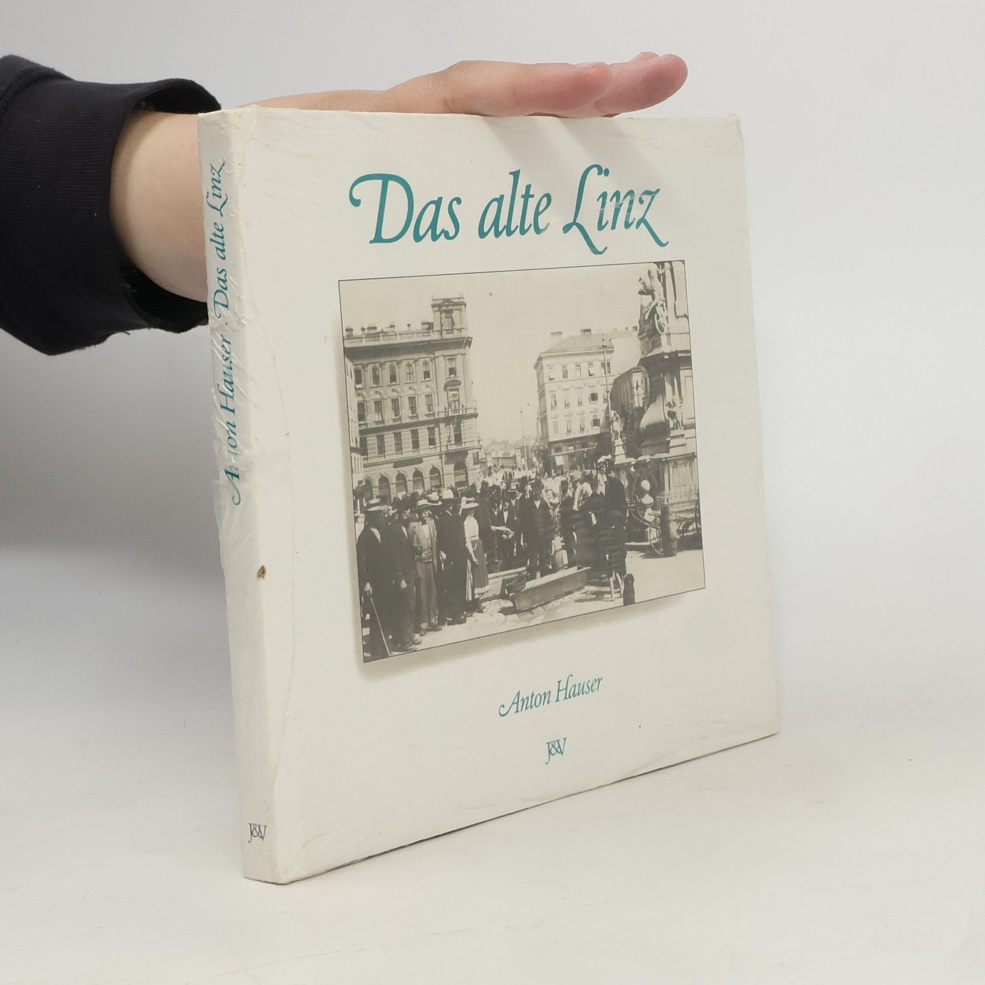Anton Hauser Das alte Linz
