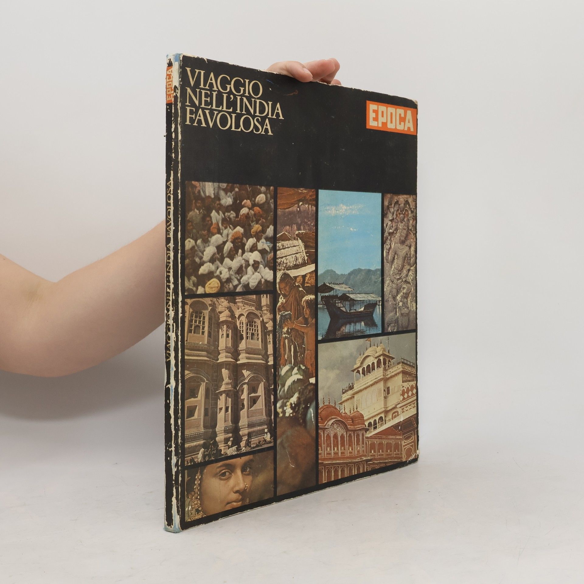 Autorenkollektiv Viaggio nell'India favoloso
