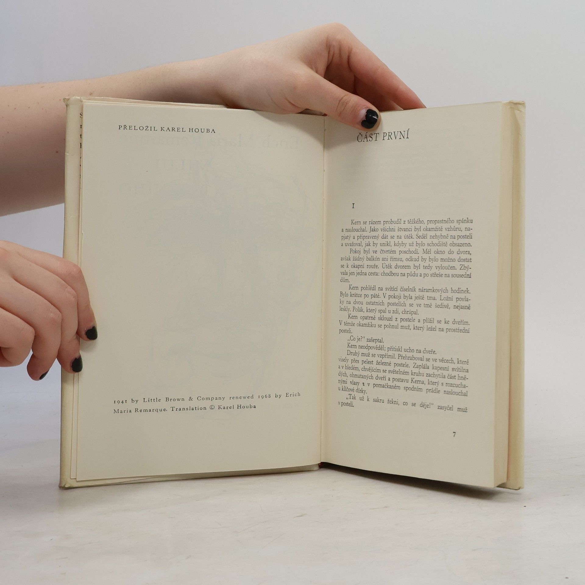 Erich Maria Remarque Miluj bližního svého