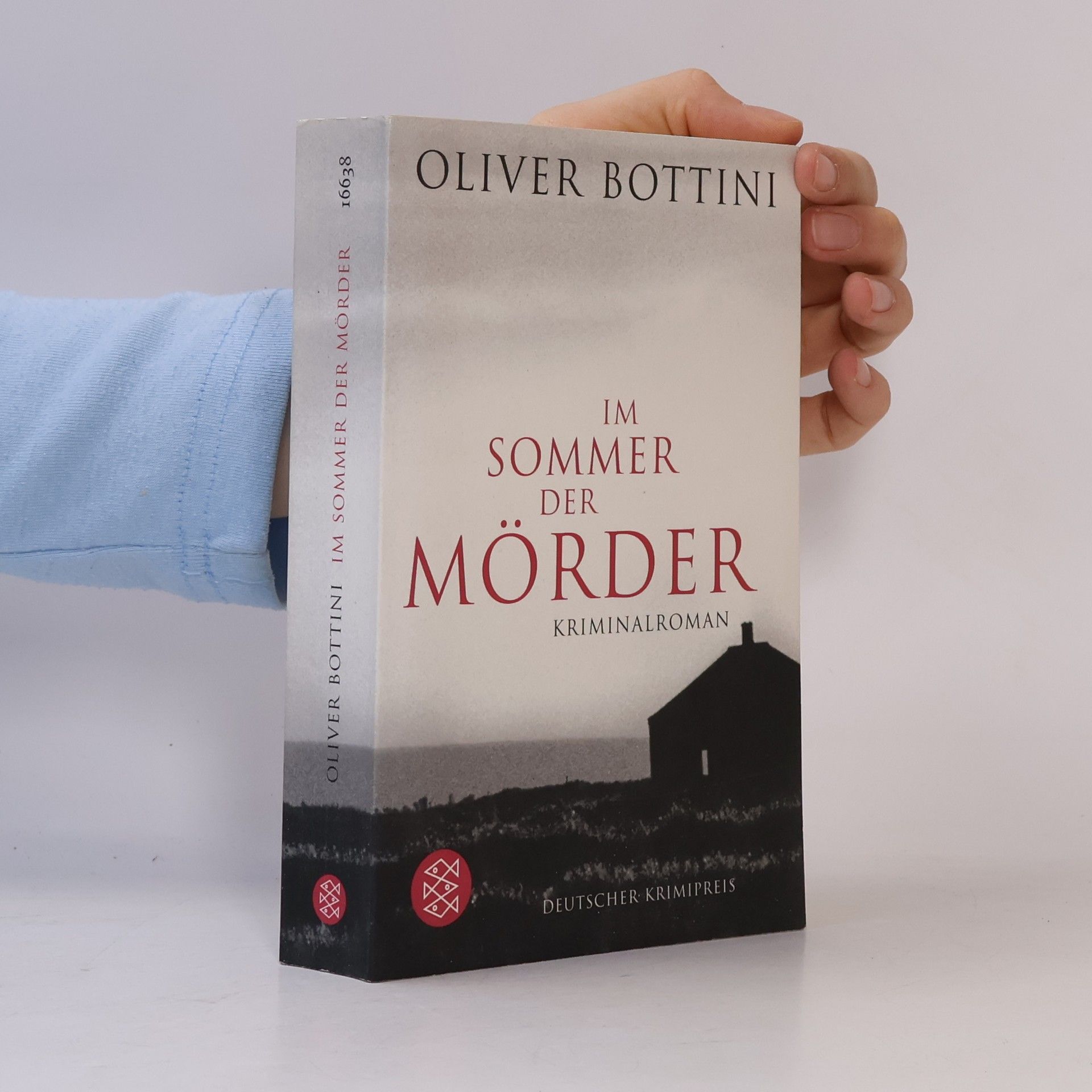 Oliver Bottini Im Sommer der Mörder