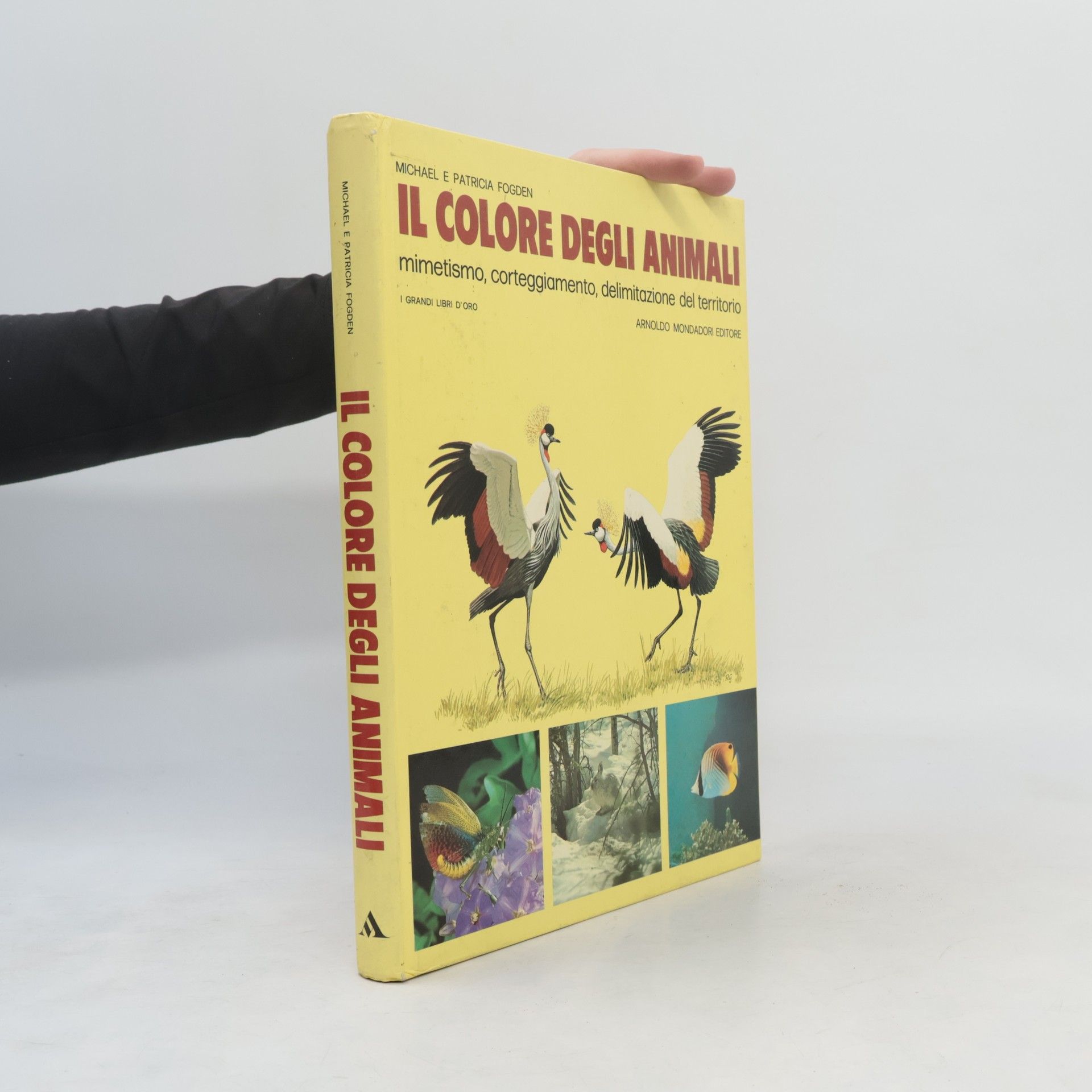 Patricia Fogden Il colore degli animali