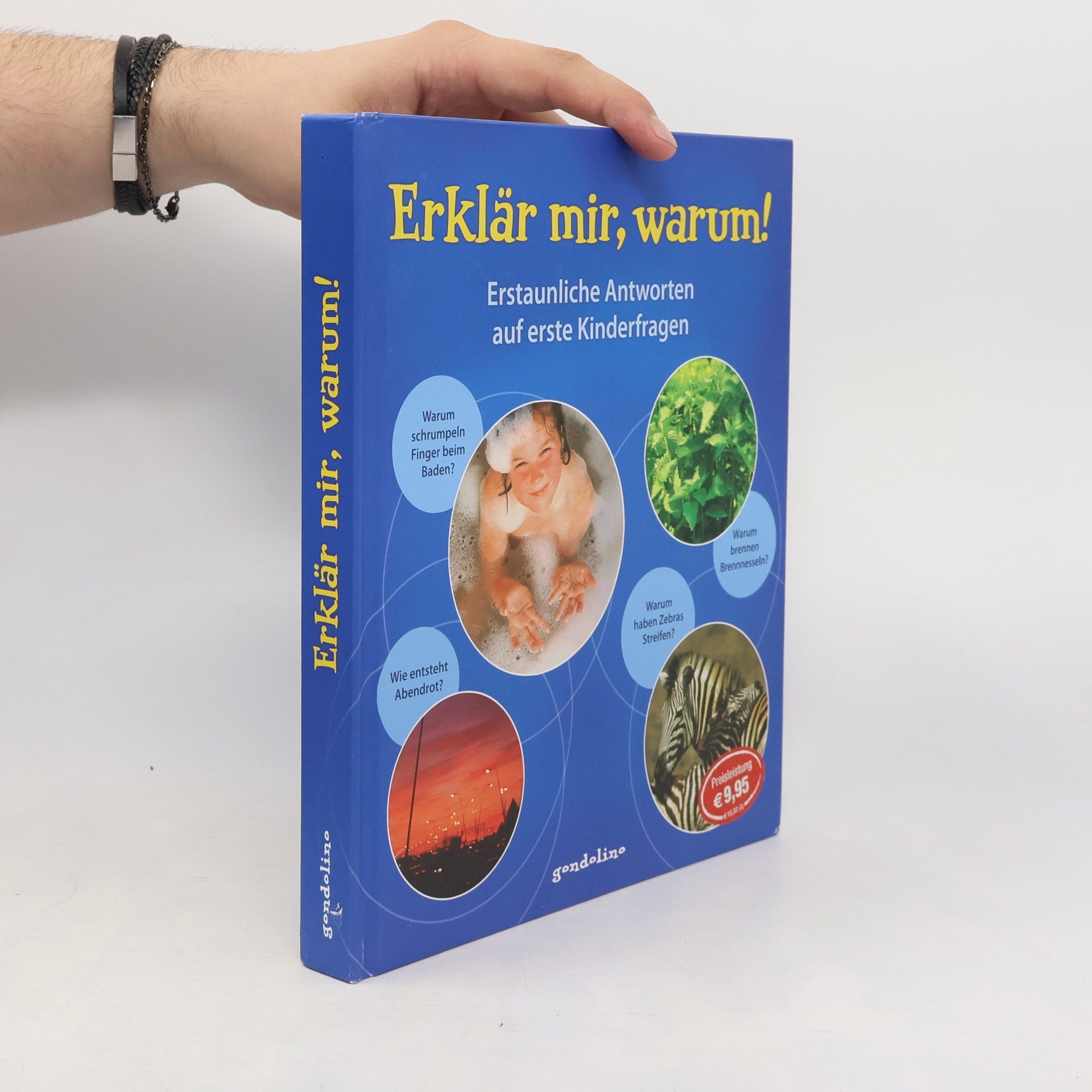 Detlef Kersten Erklär mir, warum!