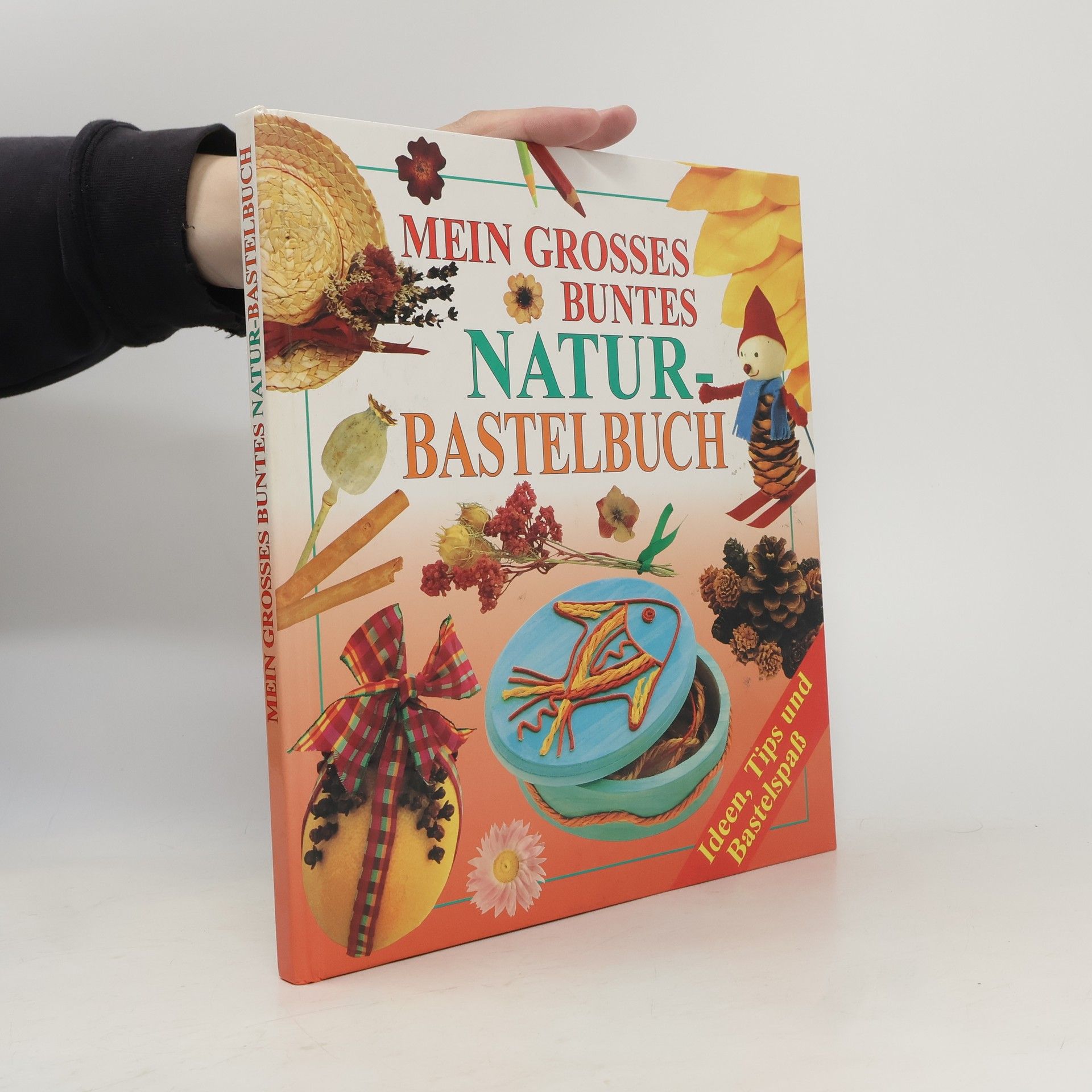Cheryl Owen Basteln mit Sachen aus der Natur