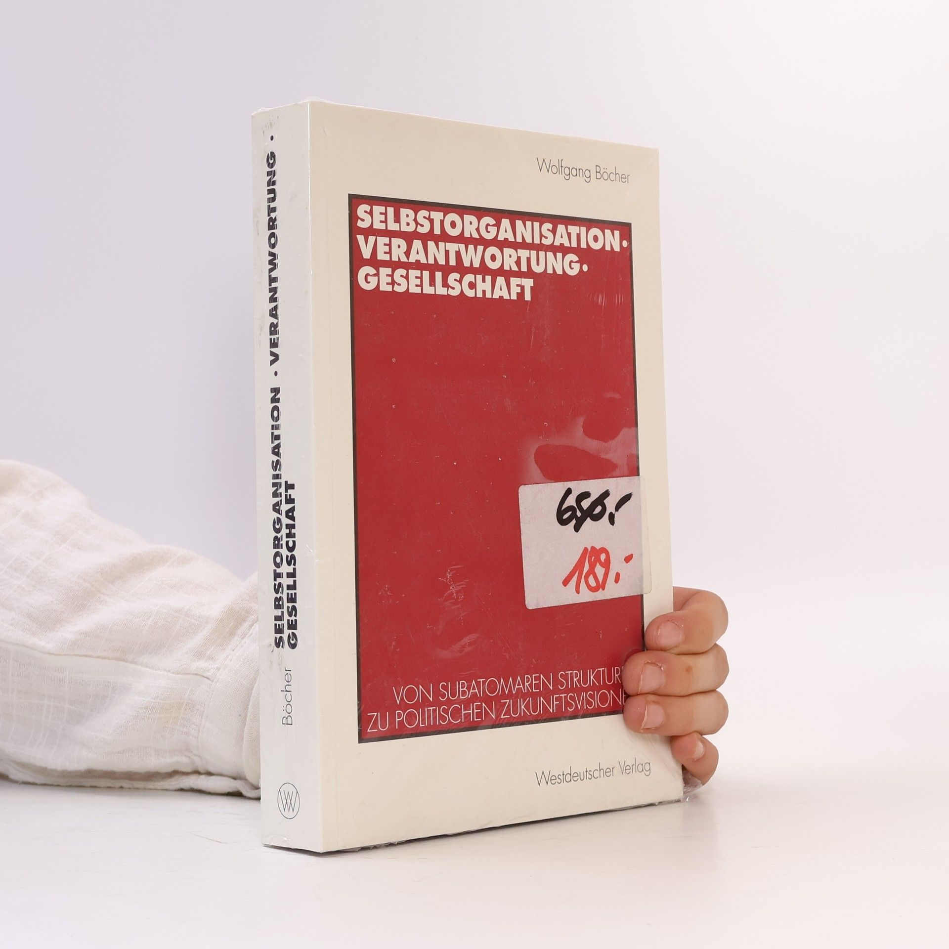 Wolfgang Böcher Selbstorganisation, Verantwortung, Gesellschaft