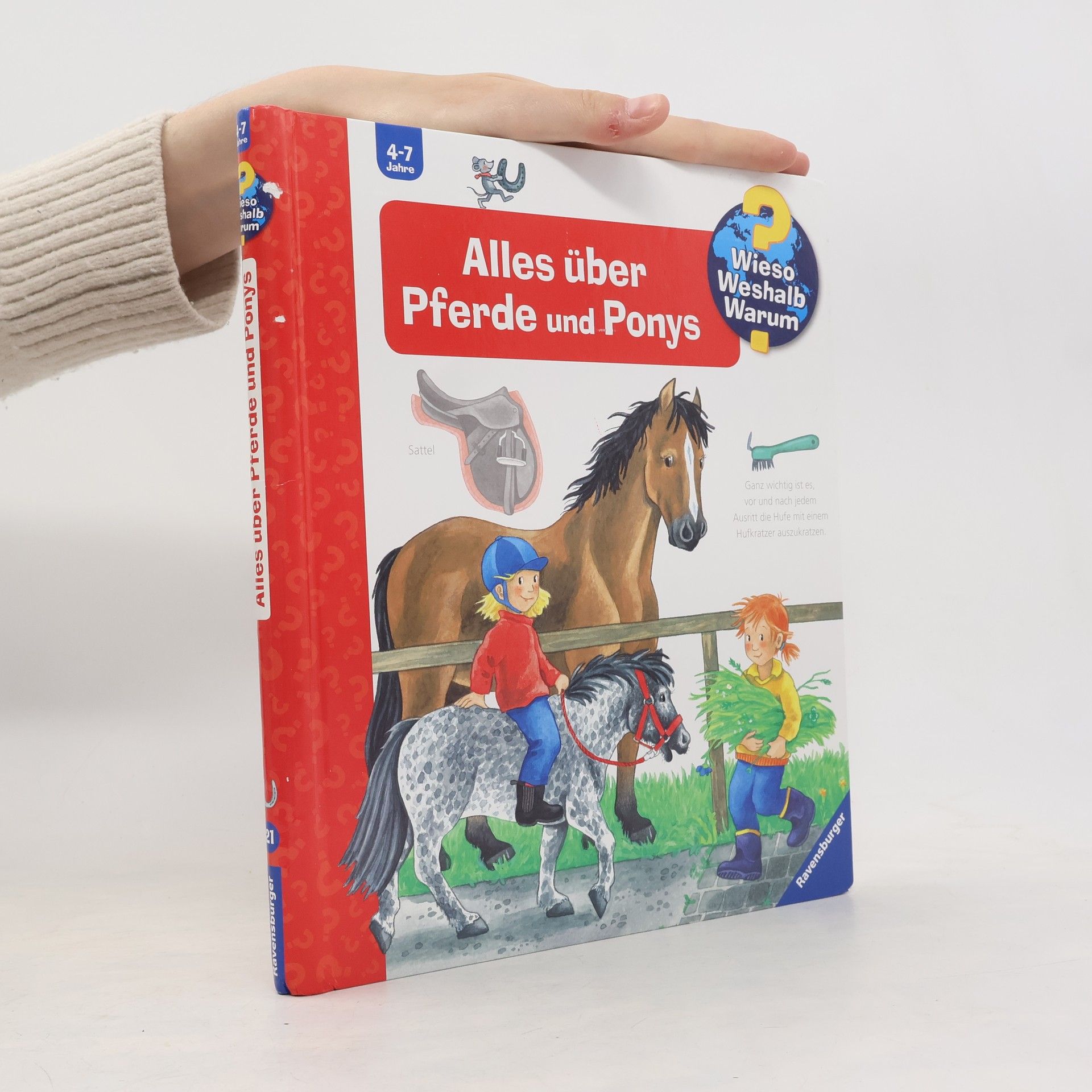 Andrea Erne Alles über Pferde und Ponys