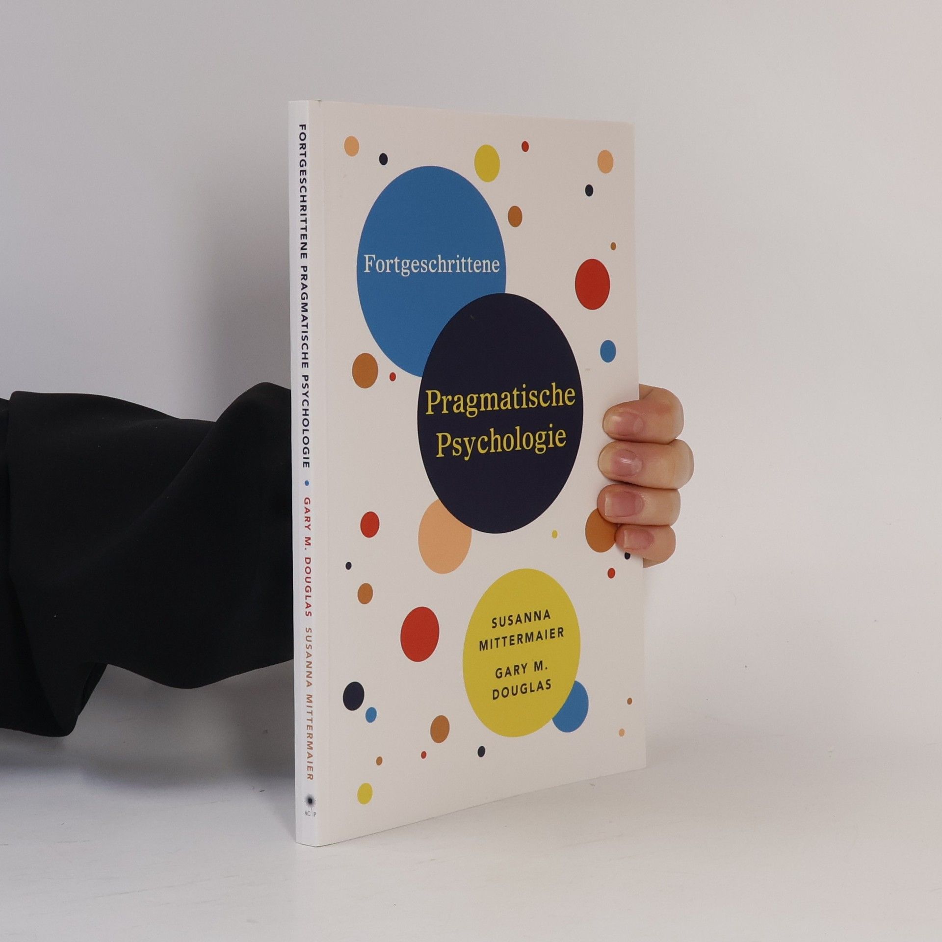 Douglas Lichterman Fortgeschrittene Pragmatische Psychologie (German)
