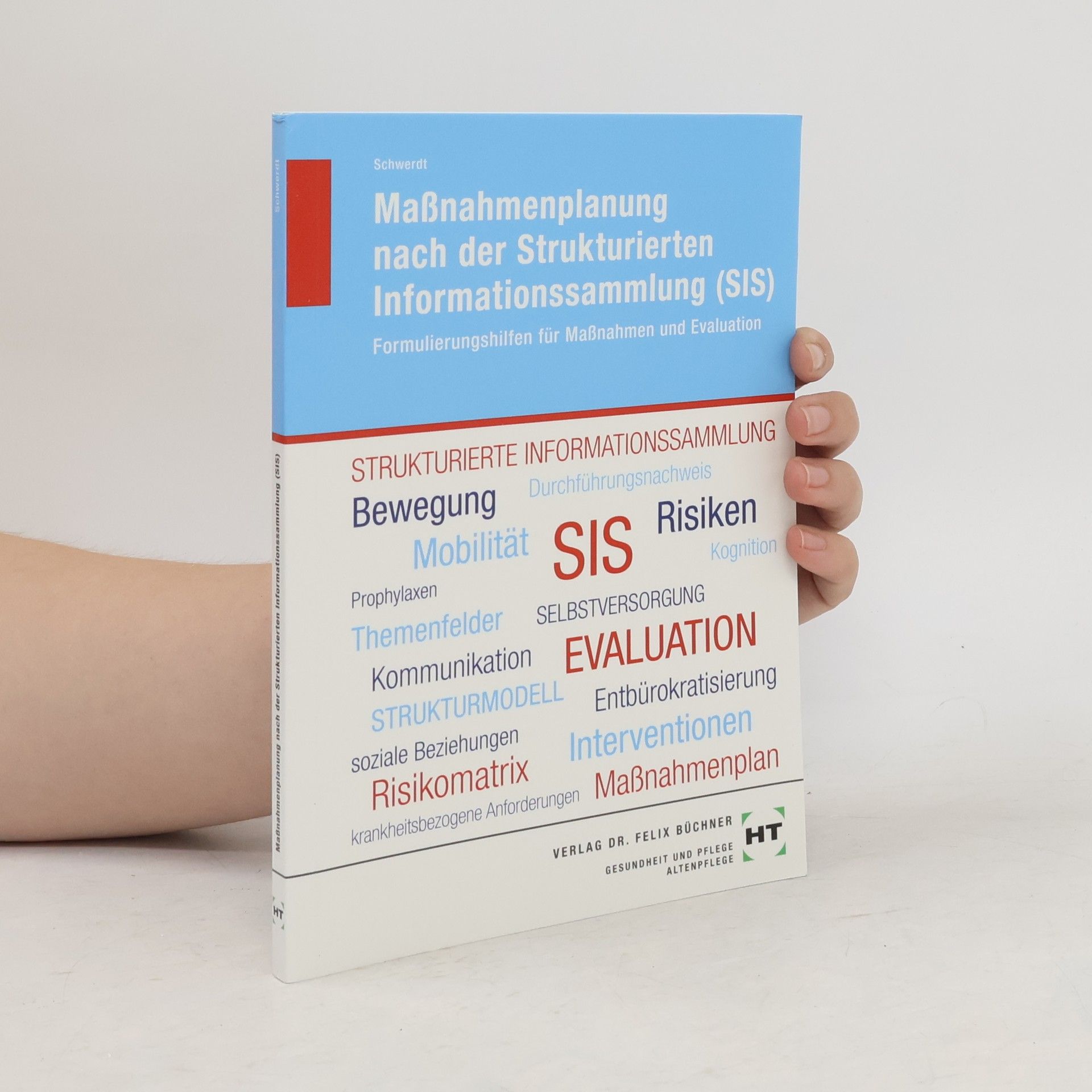 Christine Schwerdt Maßnahmenplanung nach der Strukturierten Informationssammlung (SIS)