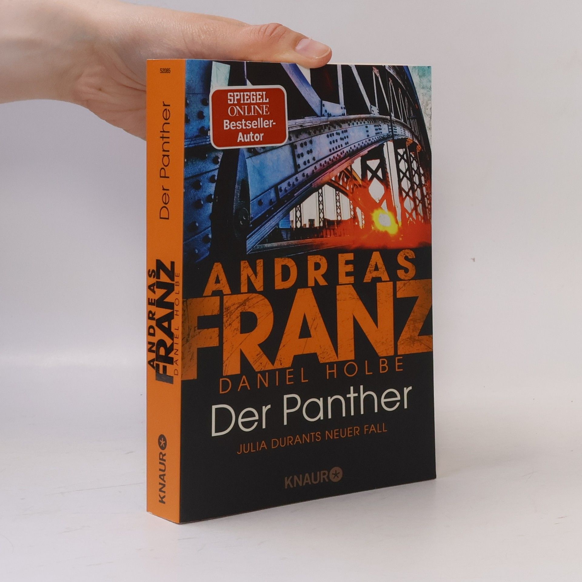 Der Panther