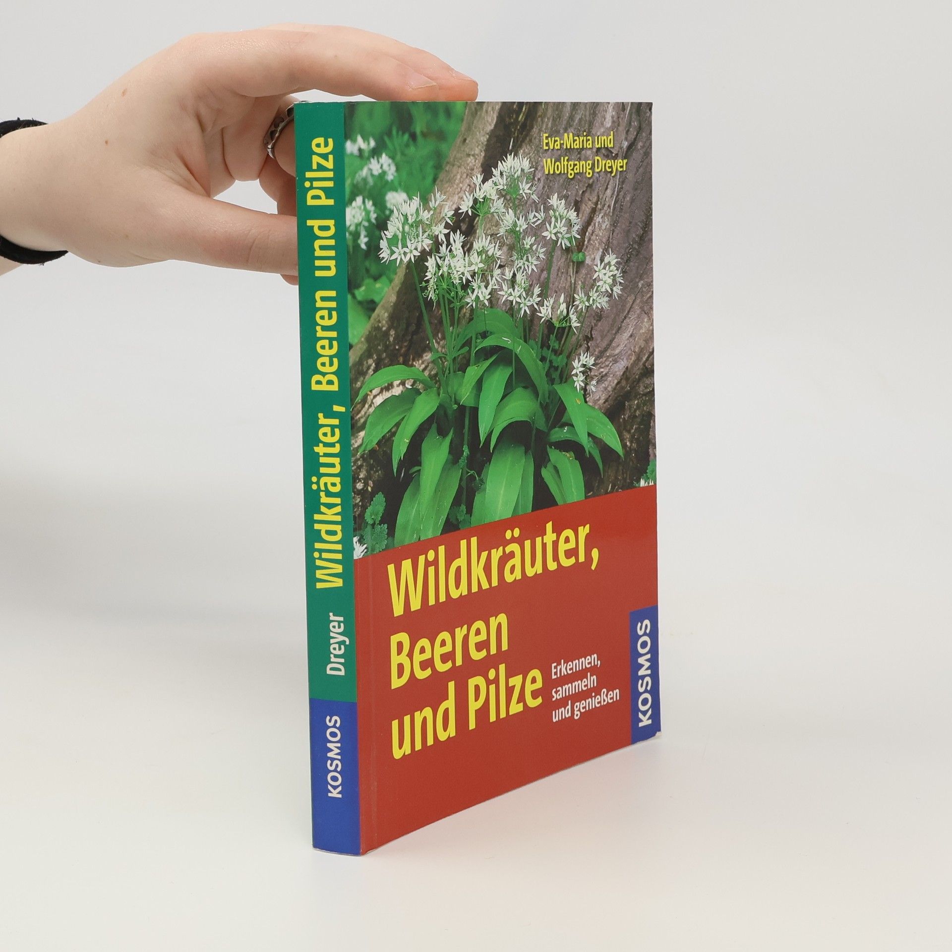 Eva-Maria Dreyer Wildkräuter, Beeren und Pilze
