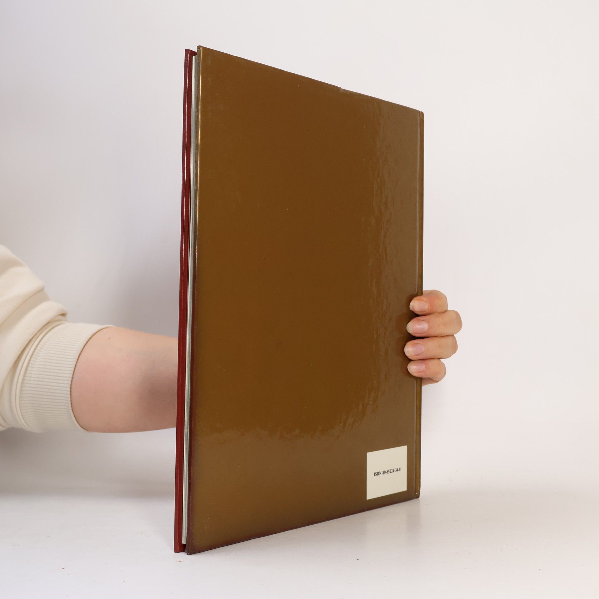 Various authors Zajíc a želva a jiné pohádky