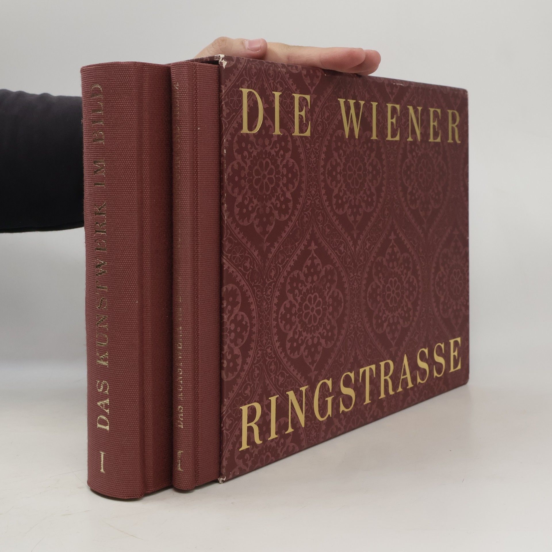 Kolektiv autorů Die Wiener Ringstrasse