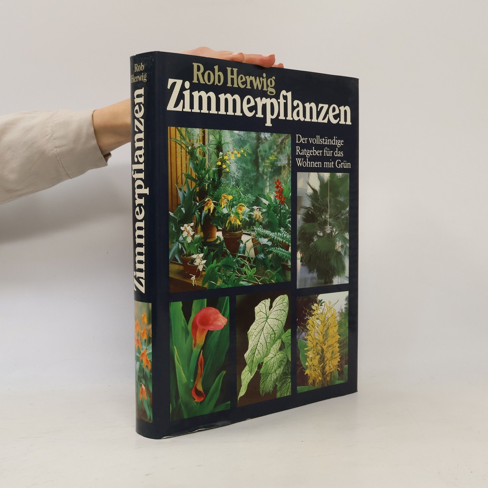 Zimmerpflanzen