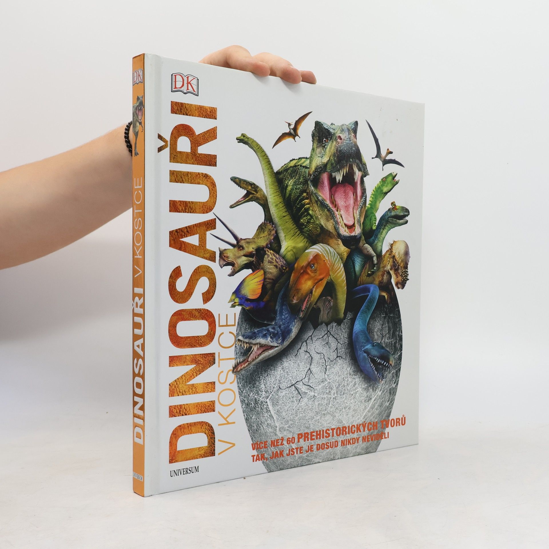 Kolektiv autorů Dinosauři v kostce