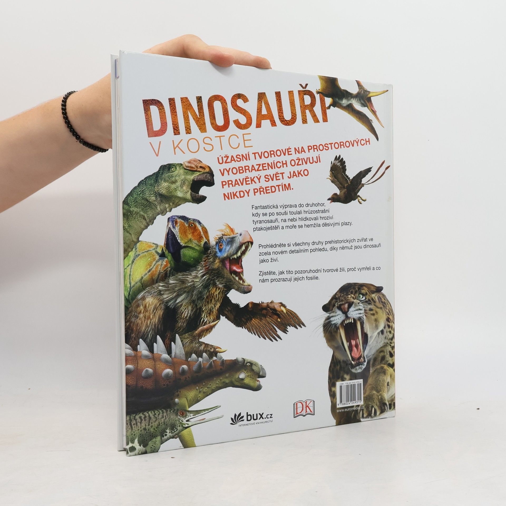 Kolektiv autorů Dinosauři v kostce