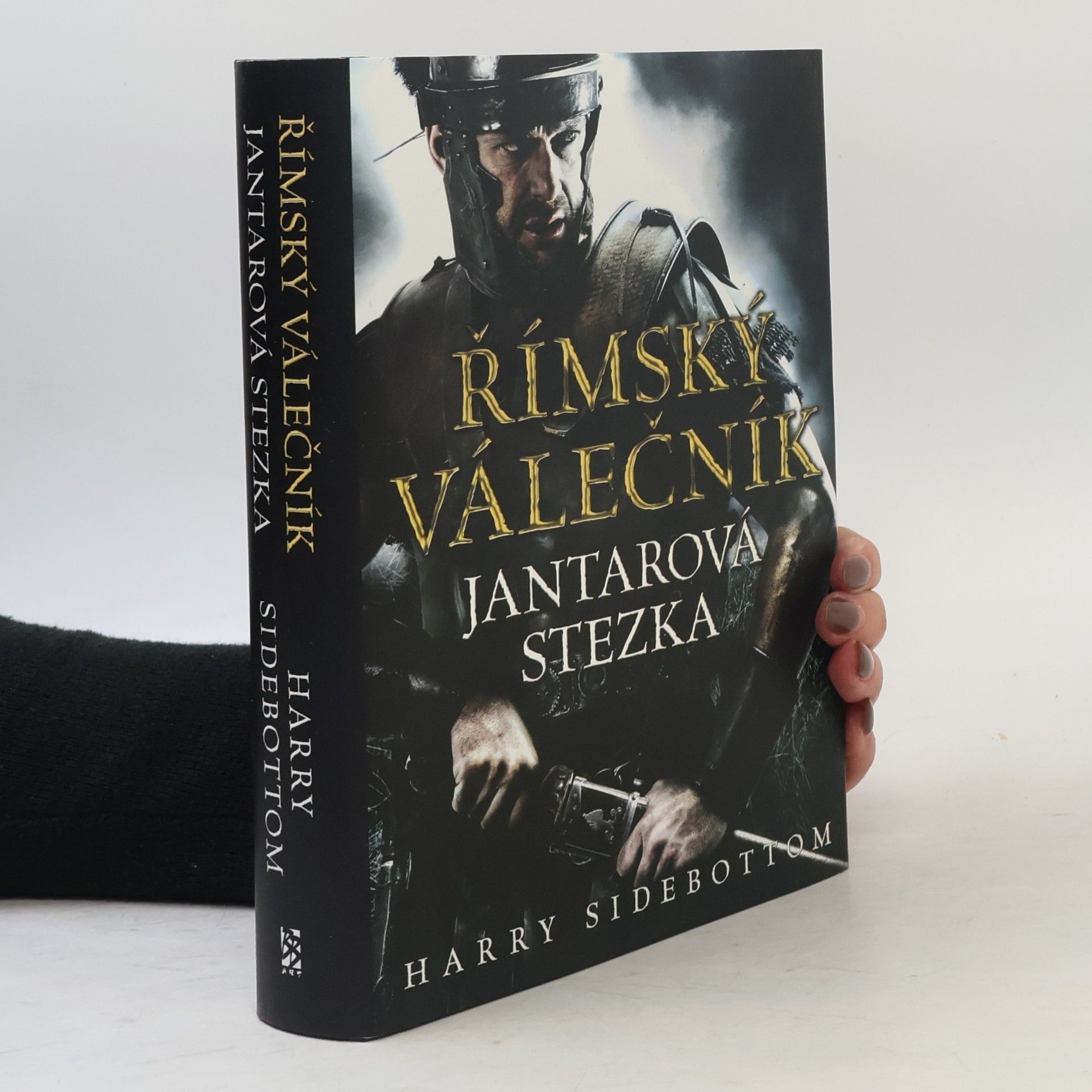 Harry Sidebottom Římský válečník. Jantarová stezka