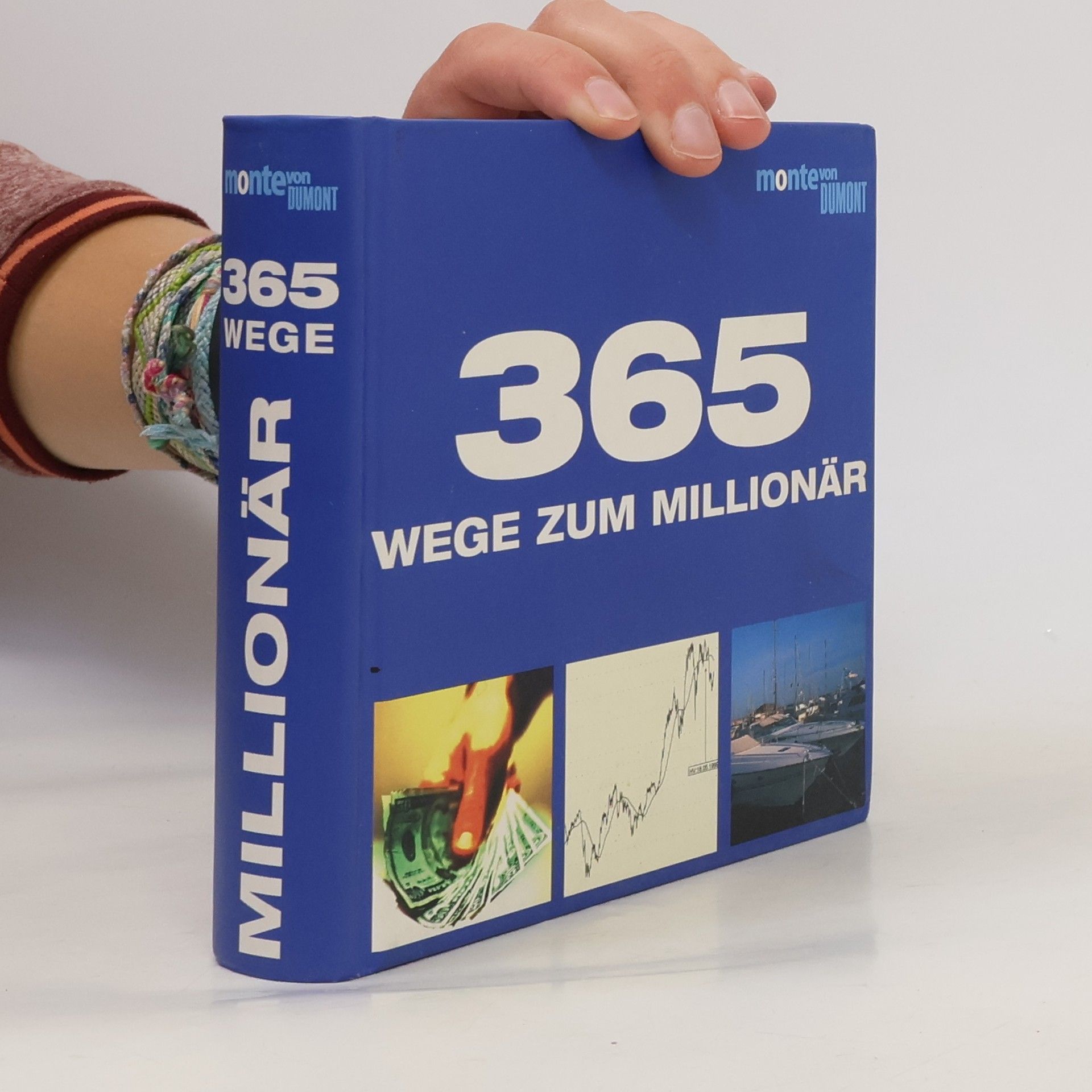 Brigit Willberger 365 Wege zum Millionär