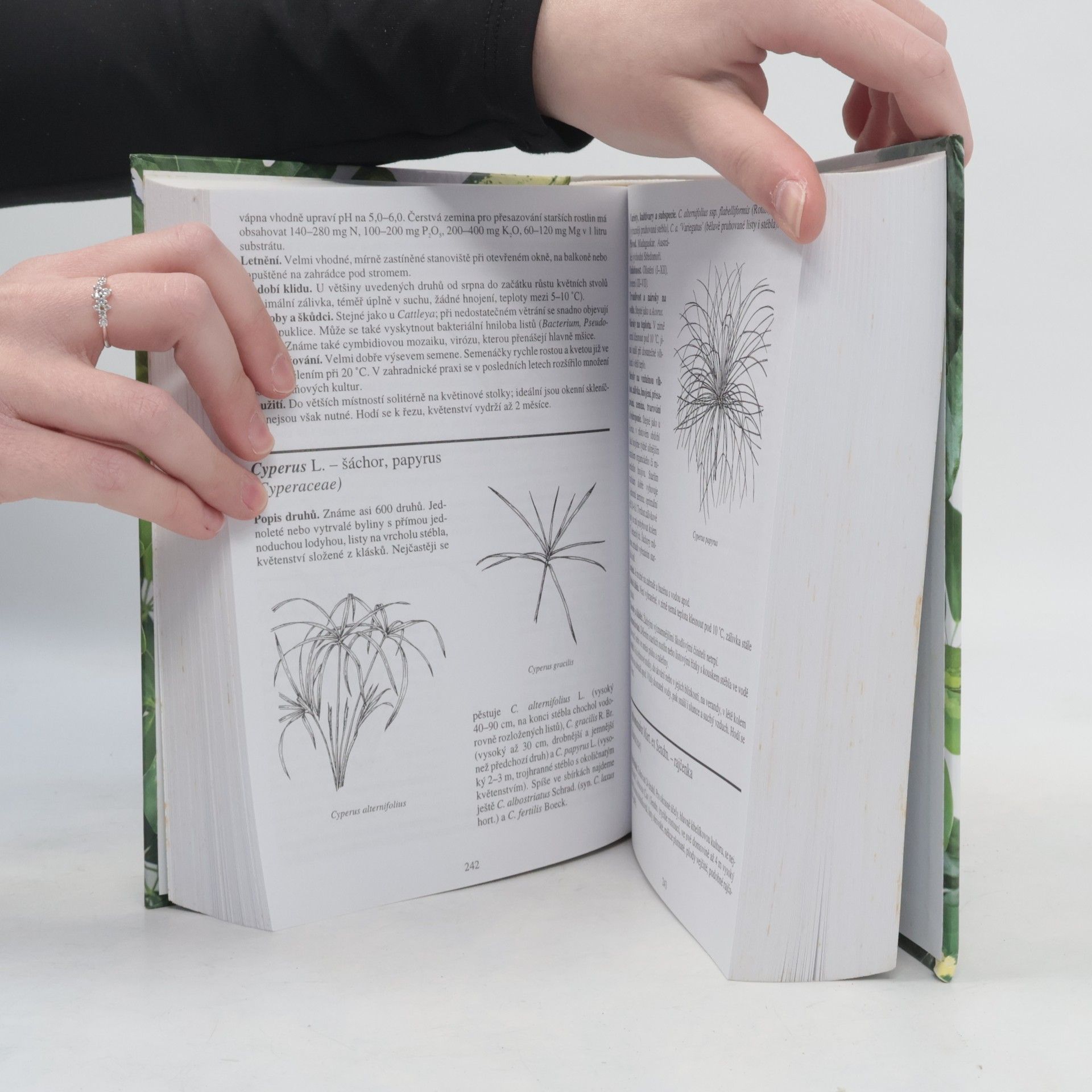 Karel Hieke Atlas pokojových rostlin