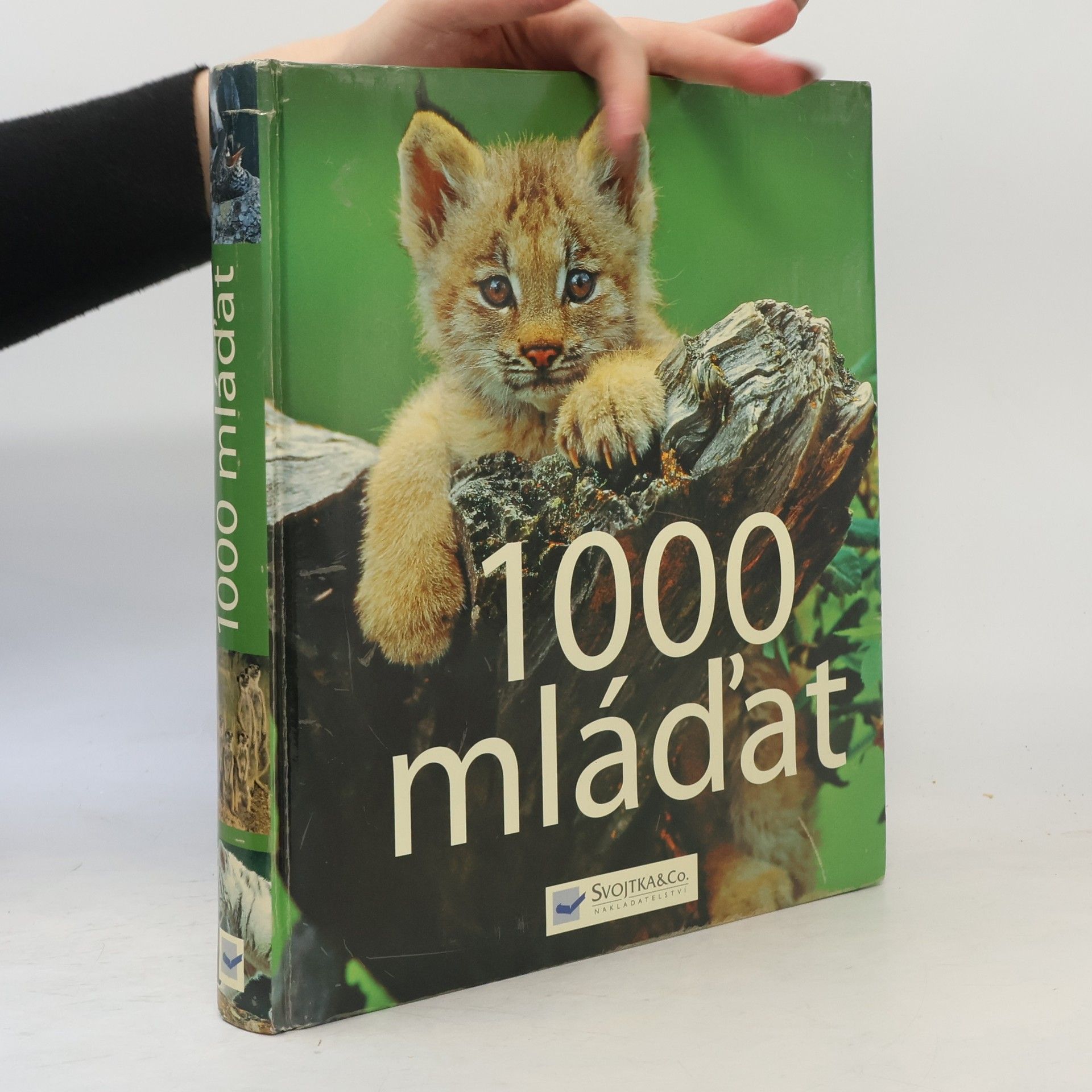 Kolektiv autorů 1000 mláďat
