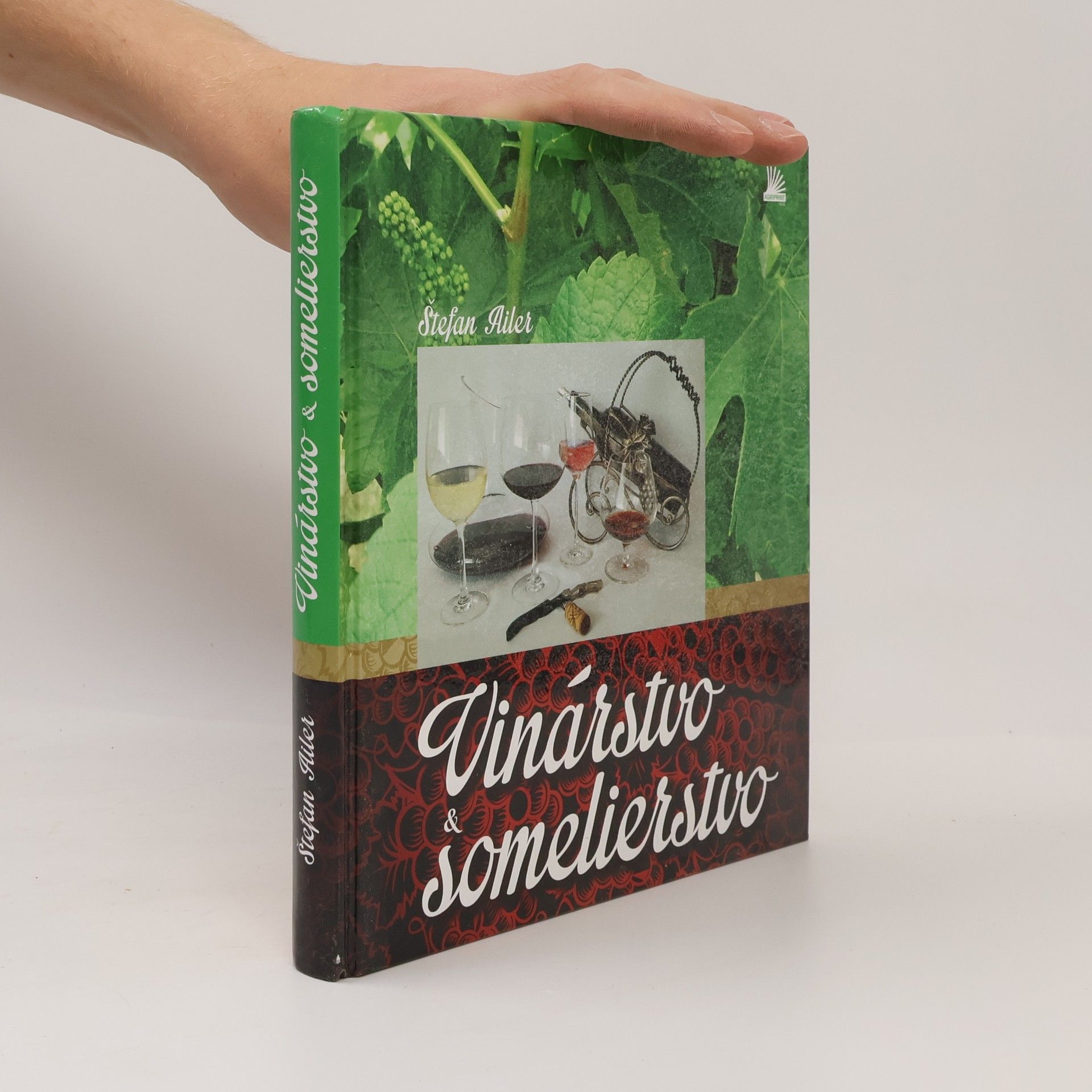 Štefan Ailer Vinárstvo a somelierstvo