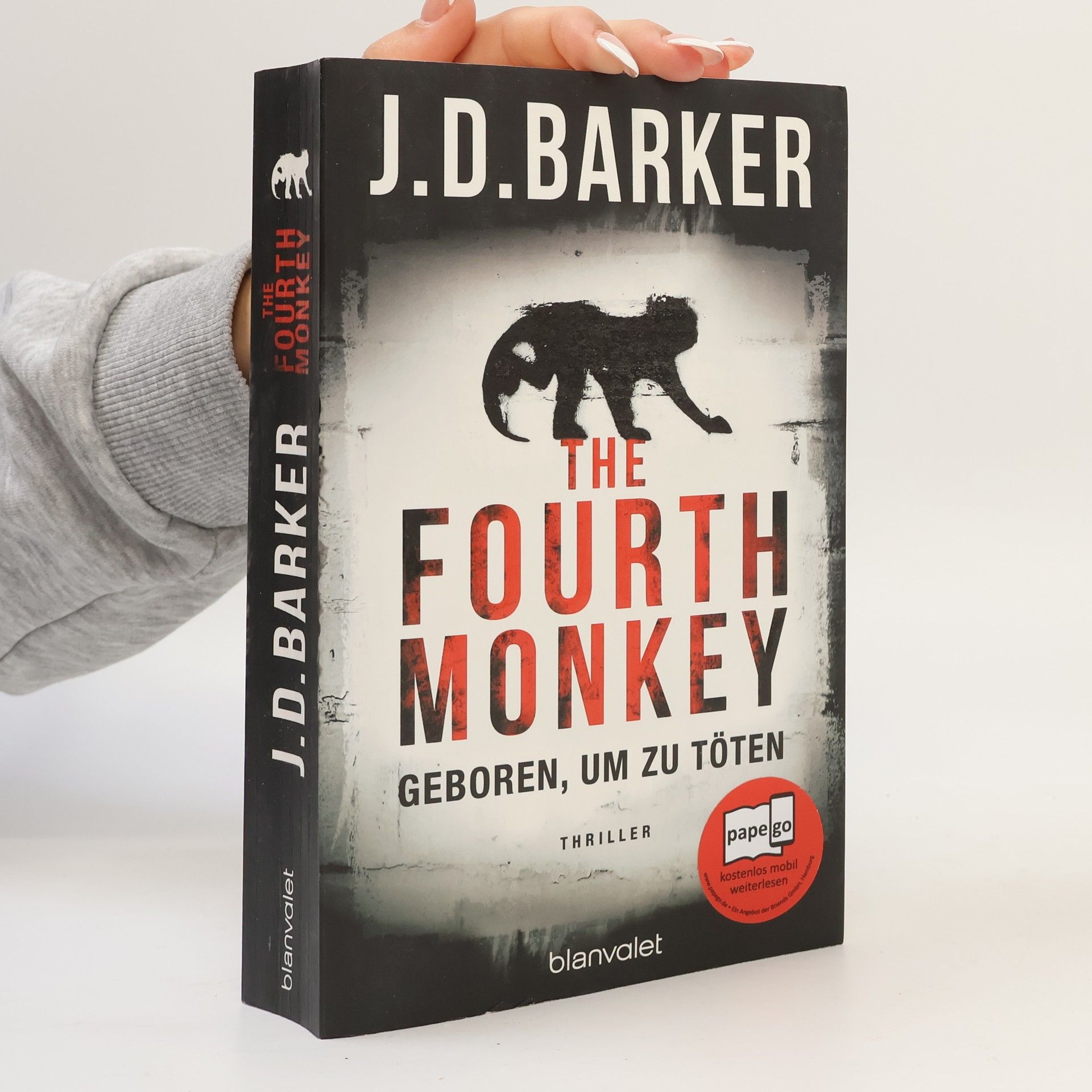 The Fourth Monkey