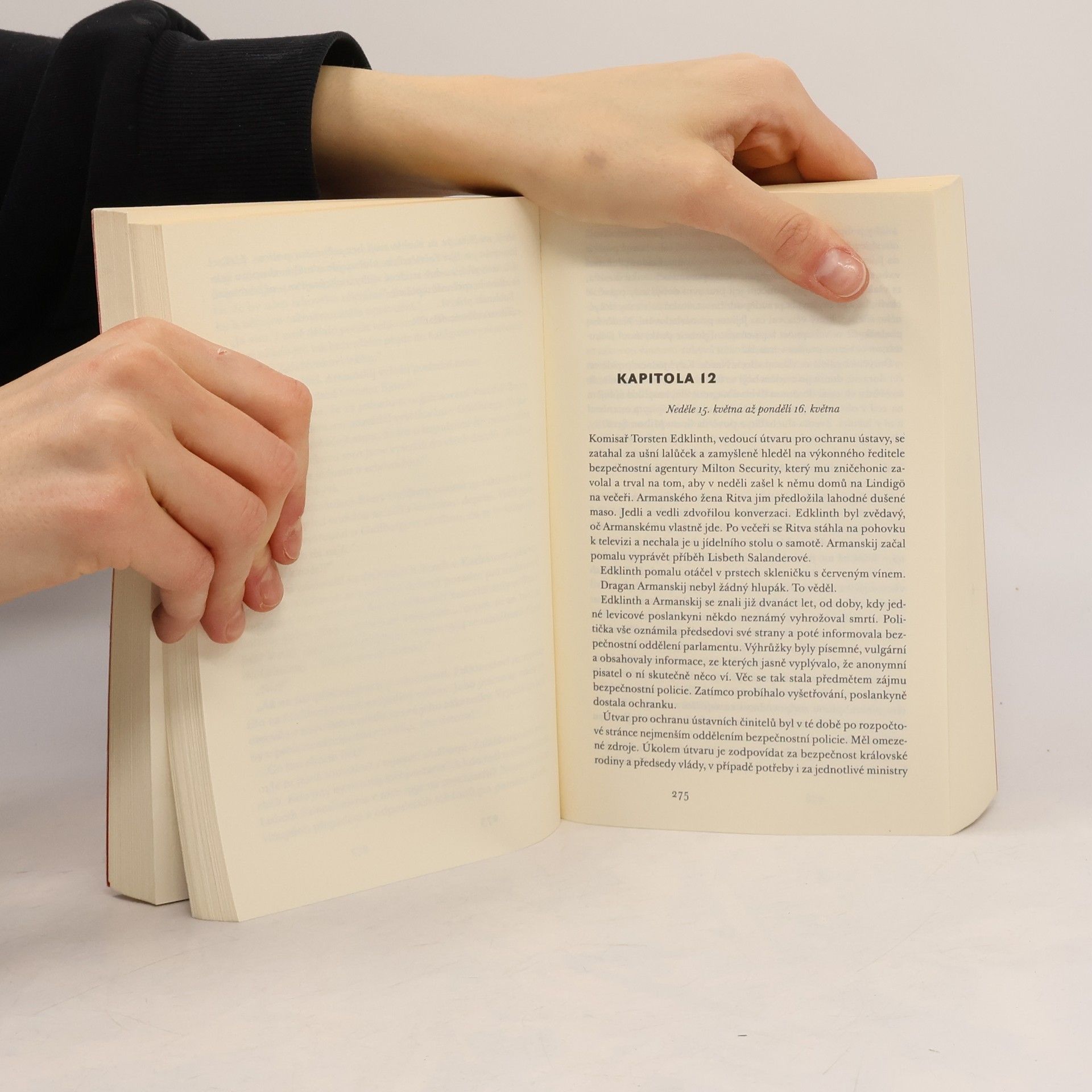Stieg Larsson Dívka, která kopla do vosího hnízda