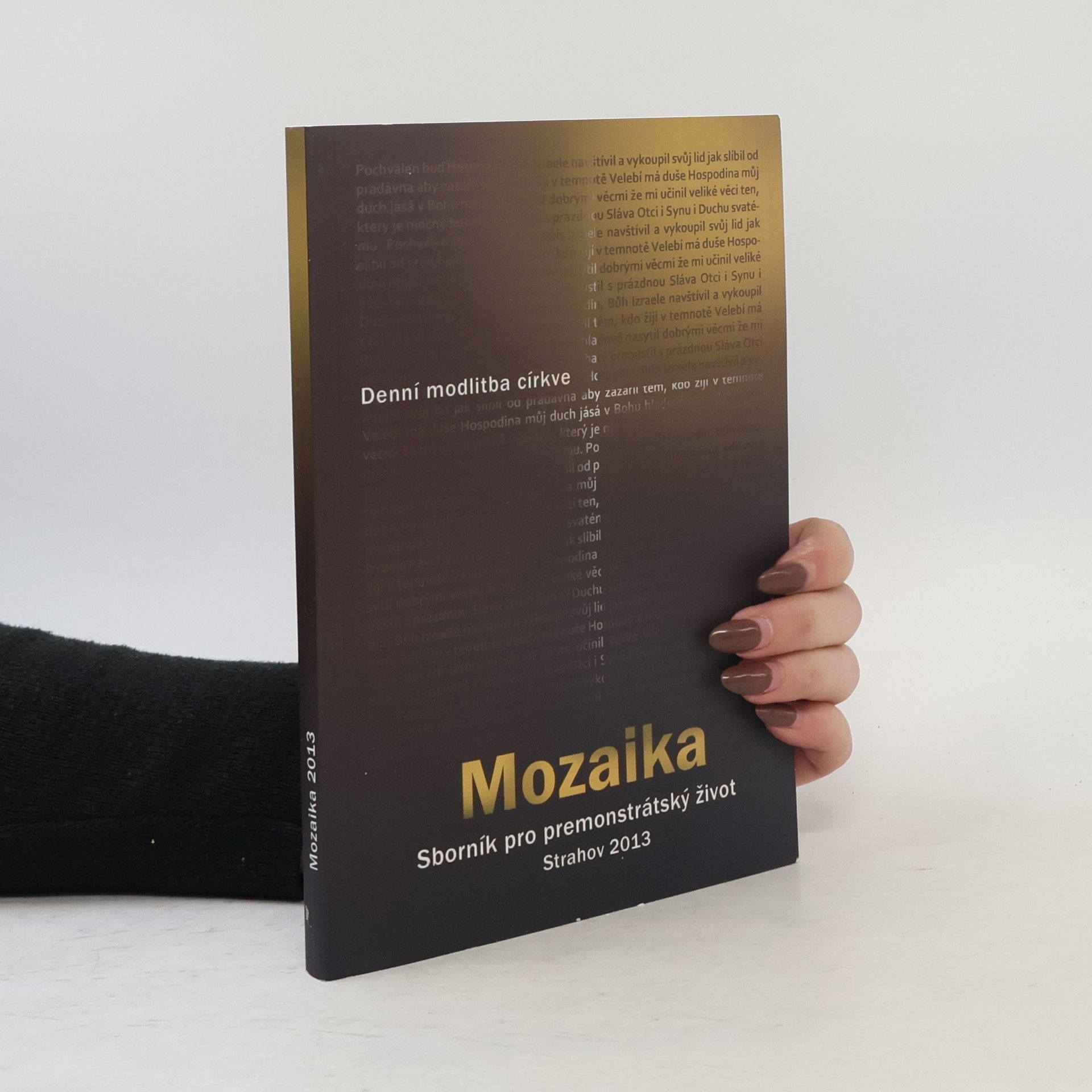 Autores varios Denní modlitba církve. Mozaika