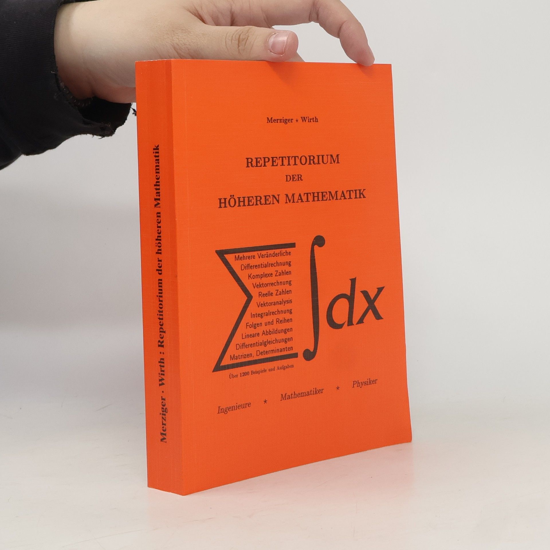 Gerhard Merziger Repetitorium der höheren Mathematik