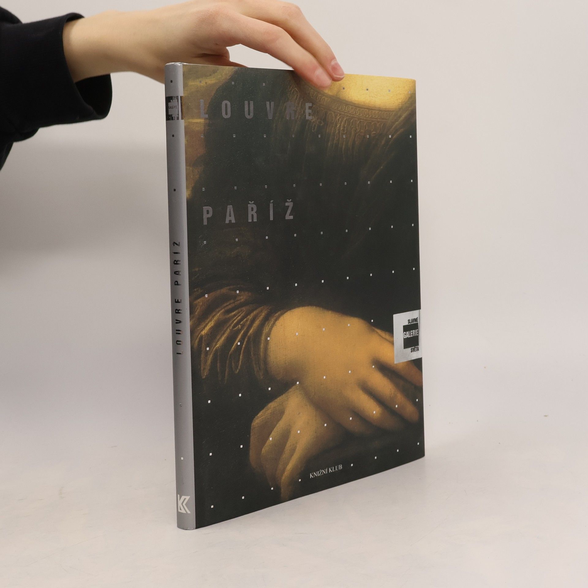Alessandra Fregolent Slavné galerie světa. Louvre - Paříž