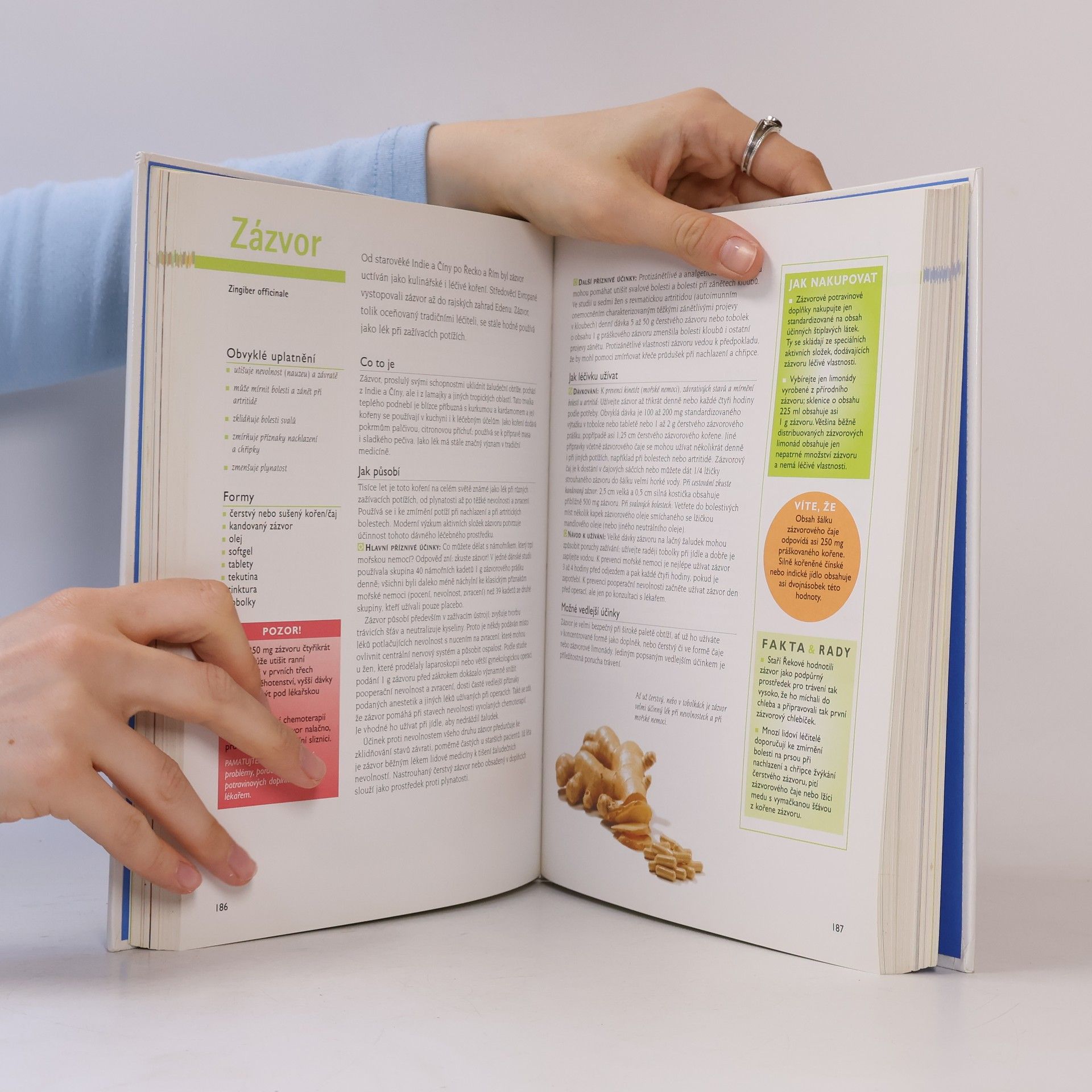 Autorenkollektiv Léčivá moc vitaminů, bylin a minerálních látek