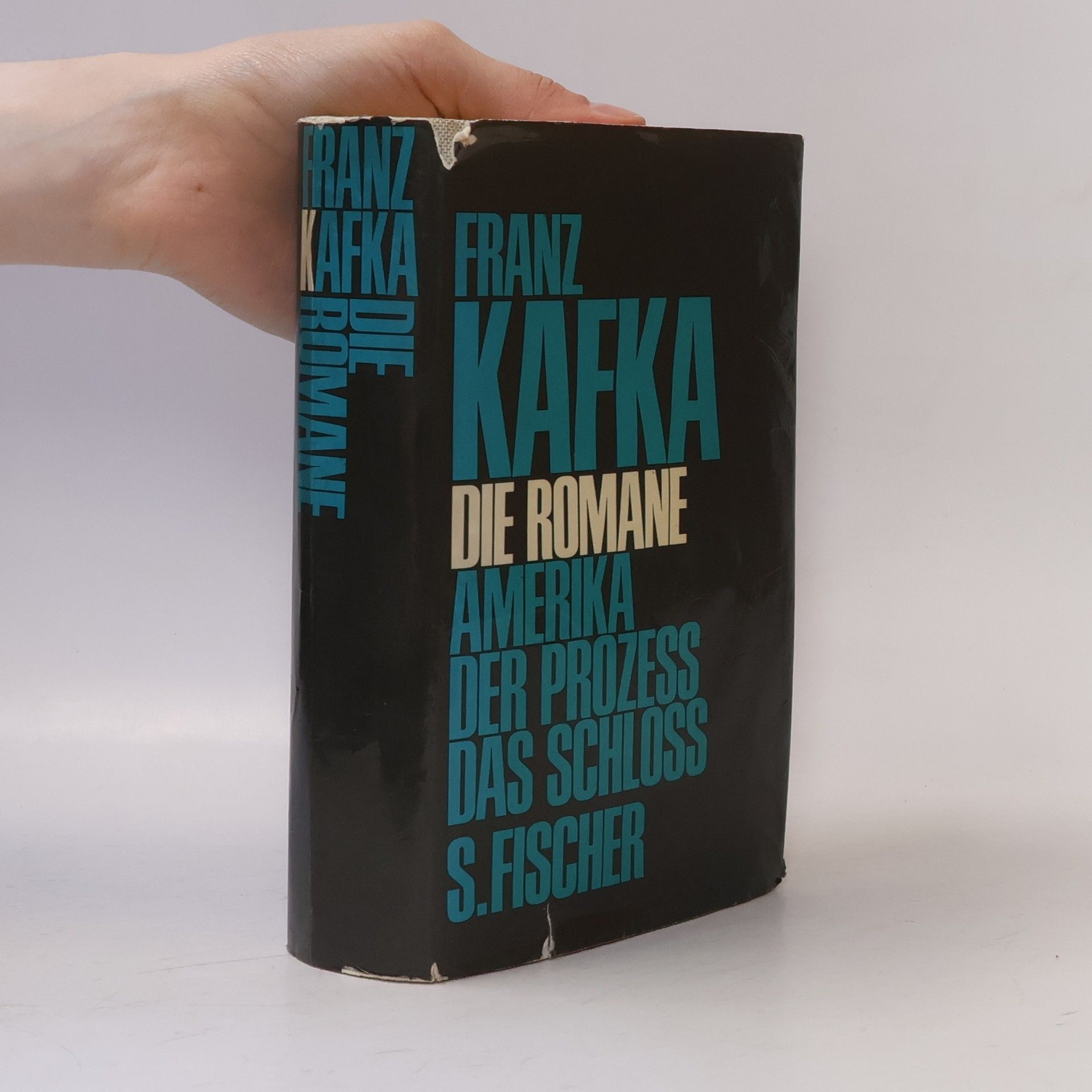 Franz Kafka Die Romane: Amerika, Der Prozess, Das Schloss