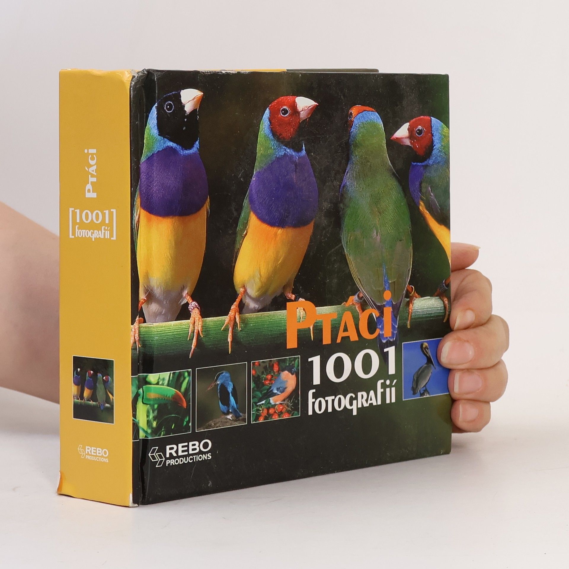 Michel Viard Ptáci. 1001 fotografií