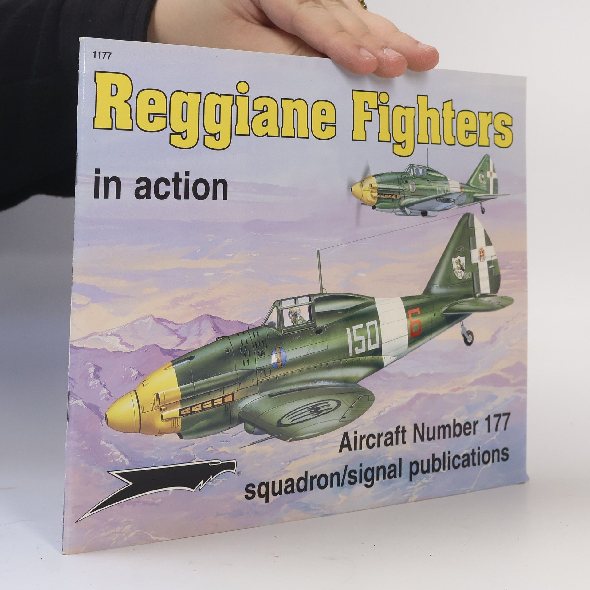György Punka Aircraft No. - 177: Reggiane Fighters