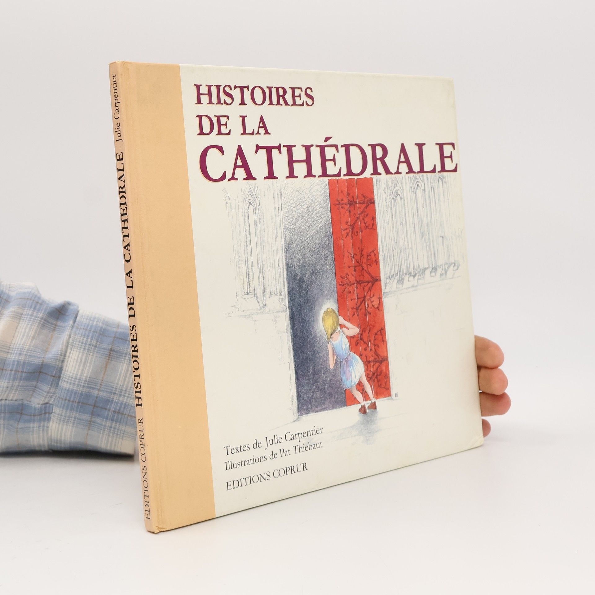 Pat Thiebaut Histoires de la cathédrale