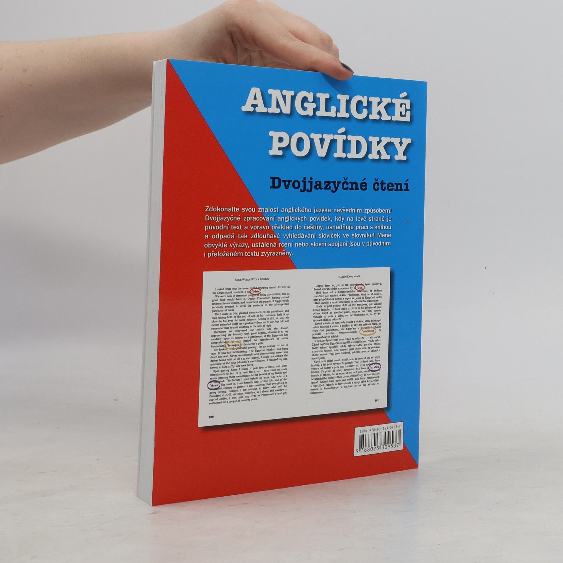 Edgar Allan Poe English Stories. Anglické povídky: Dvojjazyčné čtení