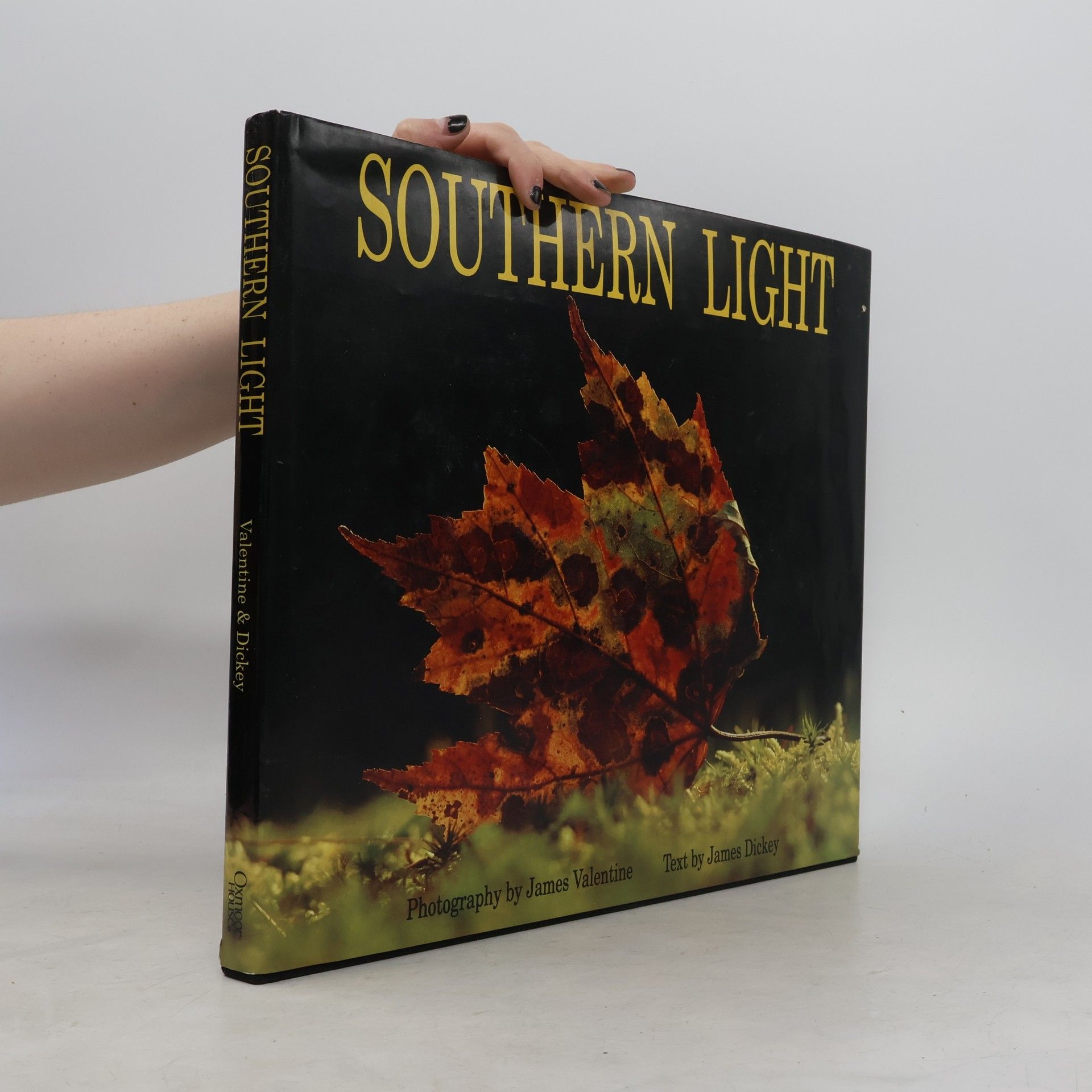 James Valentine Southern Light