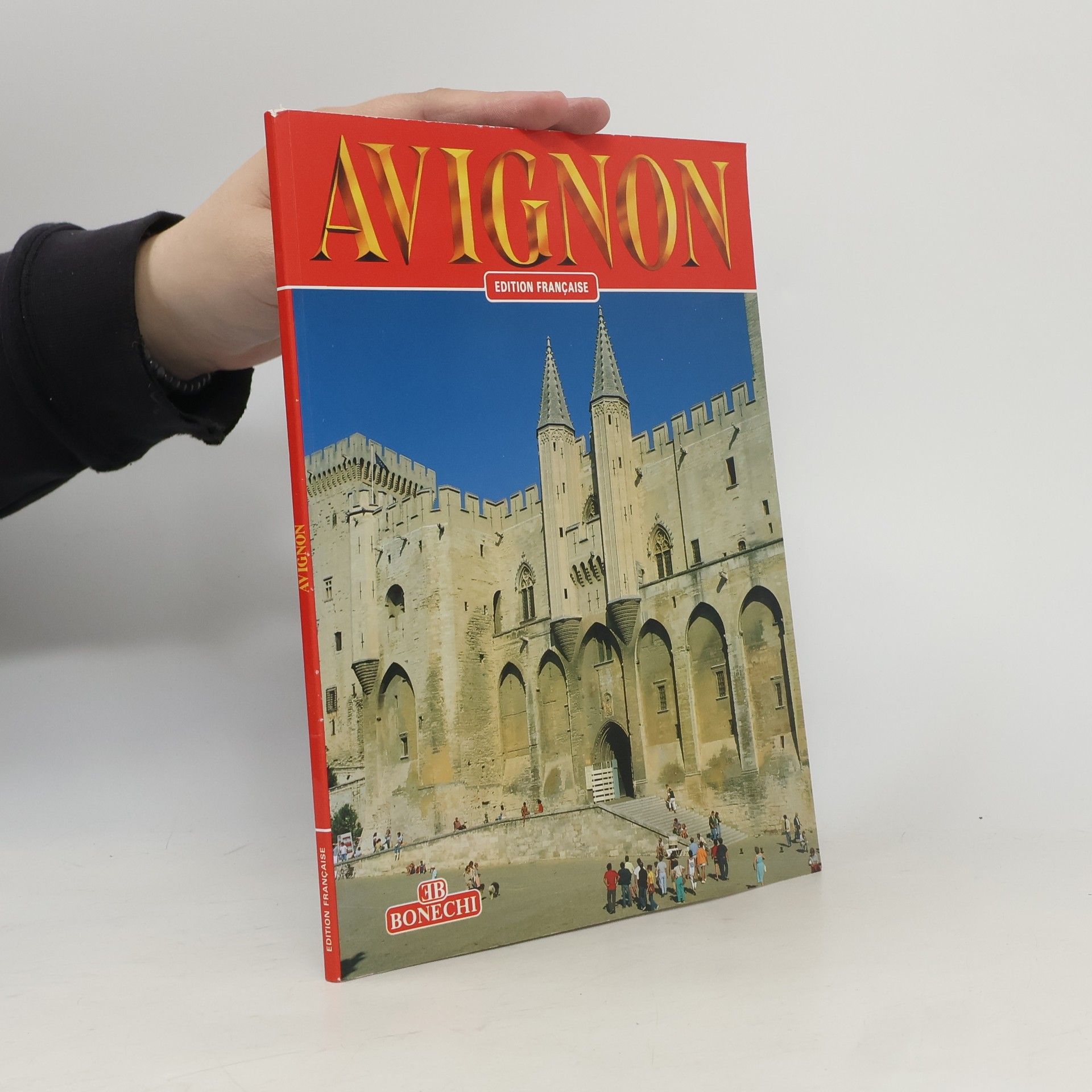 Giovanna Magi Avignon