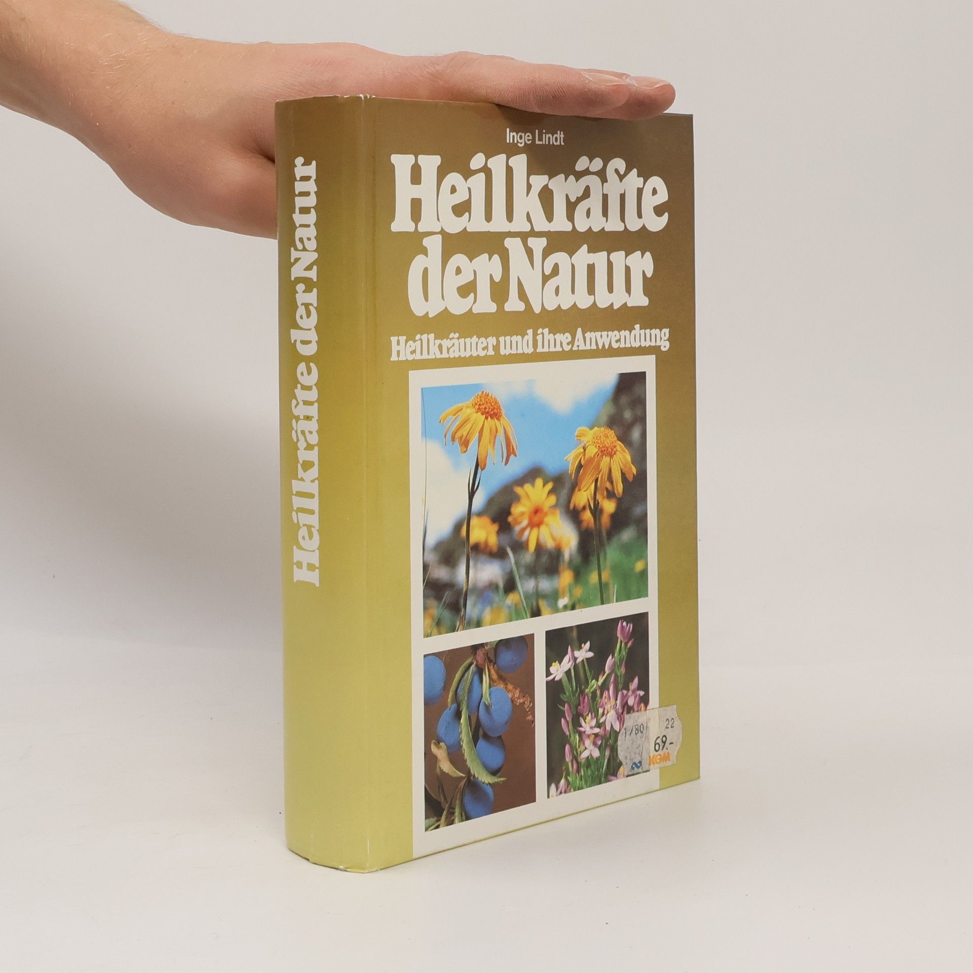 Inge Lindt Heilkräfte der Natur
