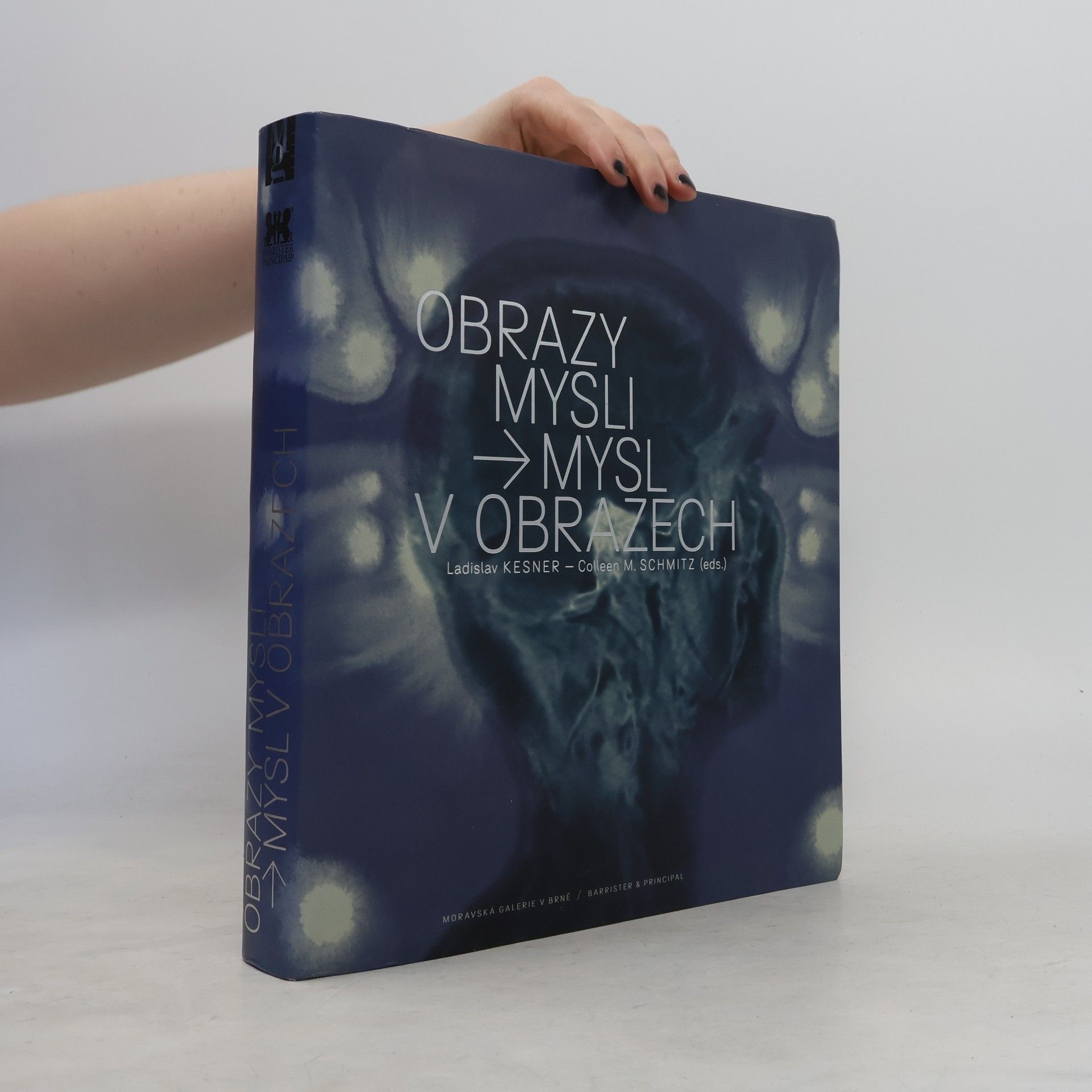Colleen M. Schmitz Obrazy mysli - Mysl v obrazech