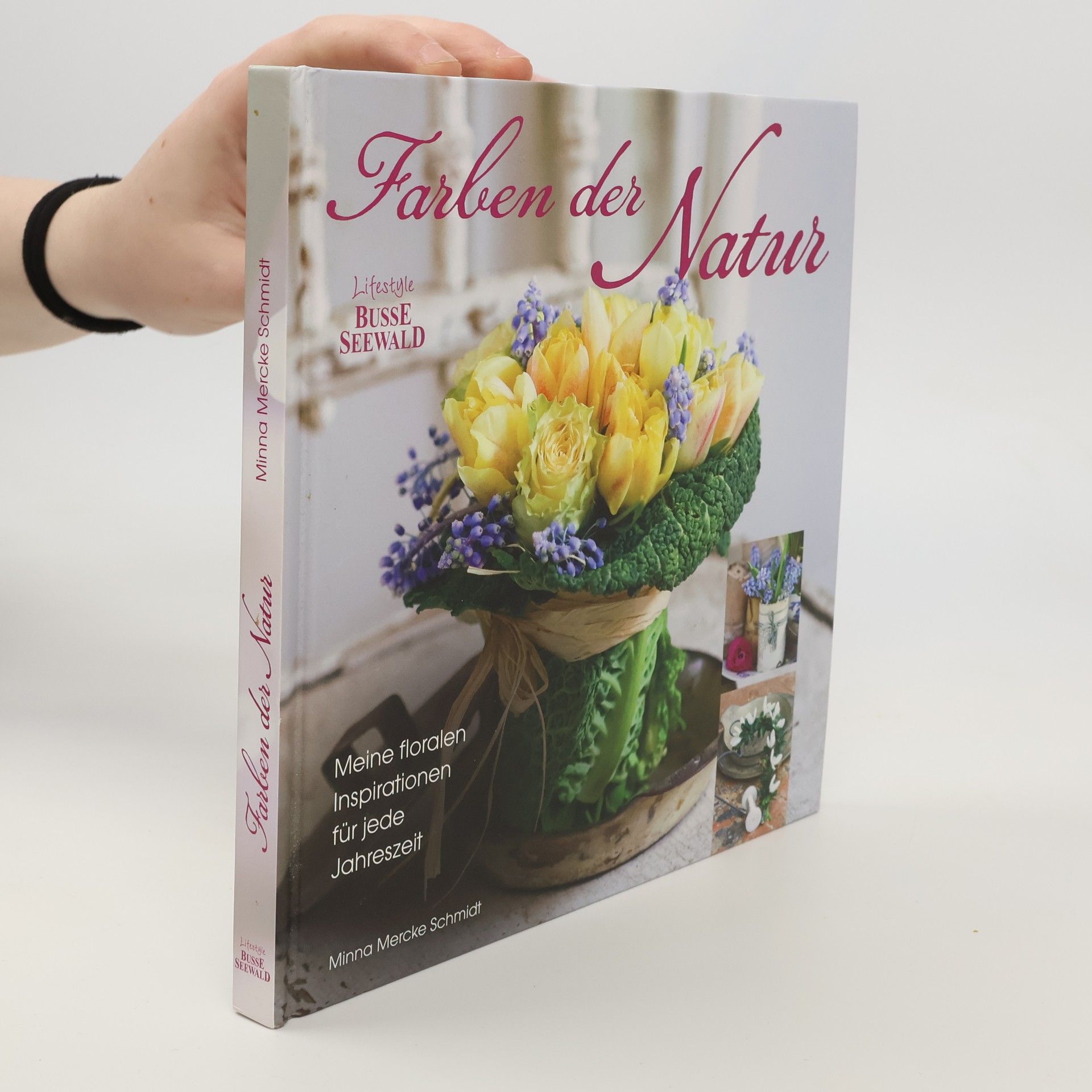 Minna Mercke Schmidt Farben der Natur