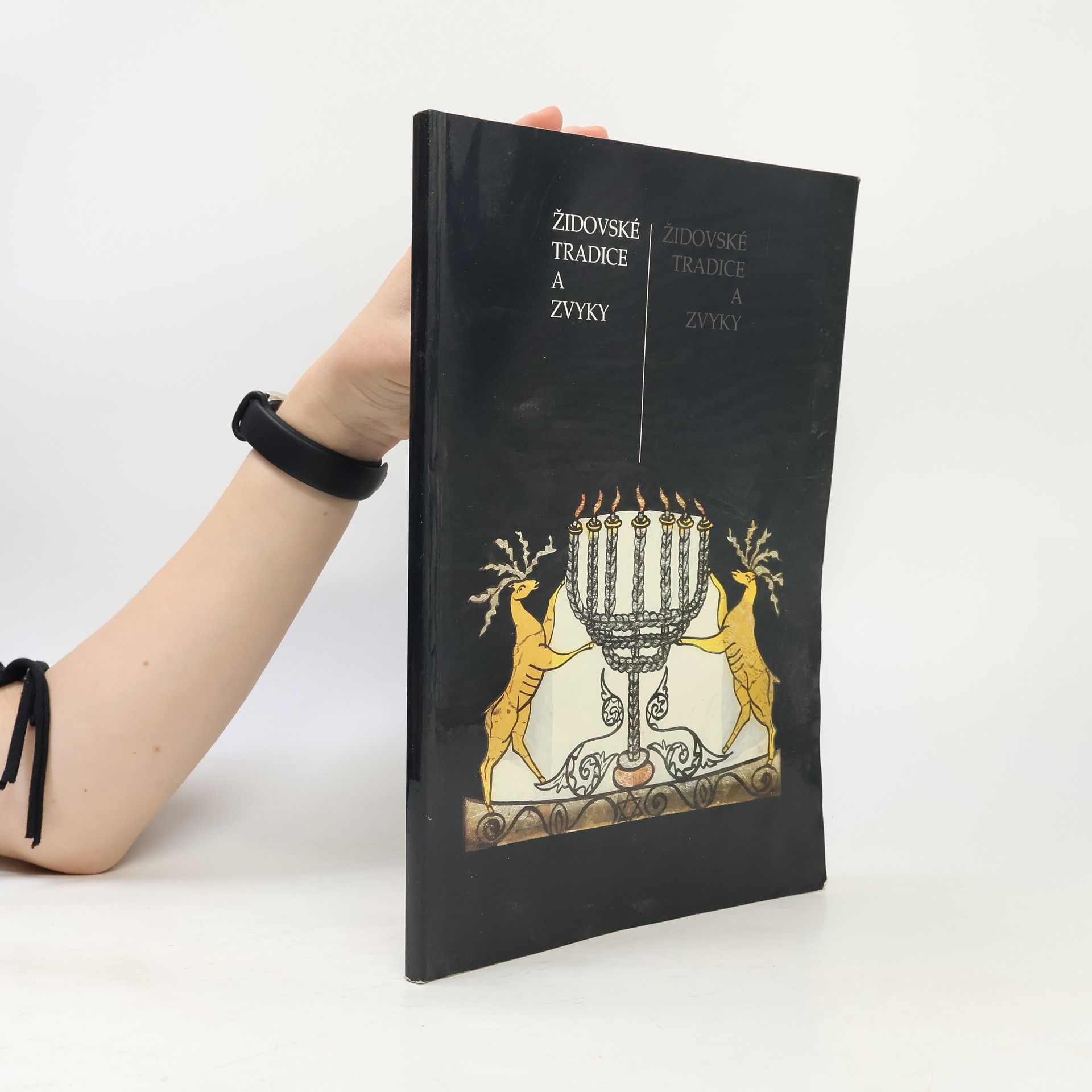 Various authors Židovské tradice a zvyky
