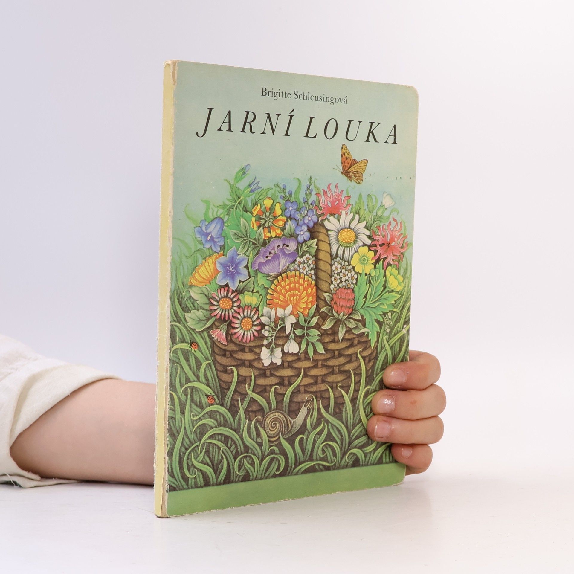 Brigitte Schleusing Jarní louka