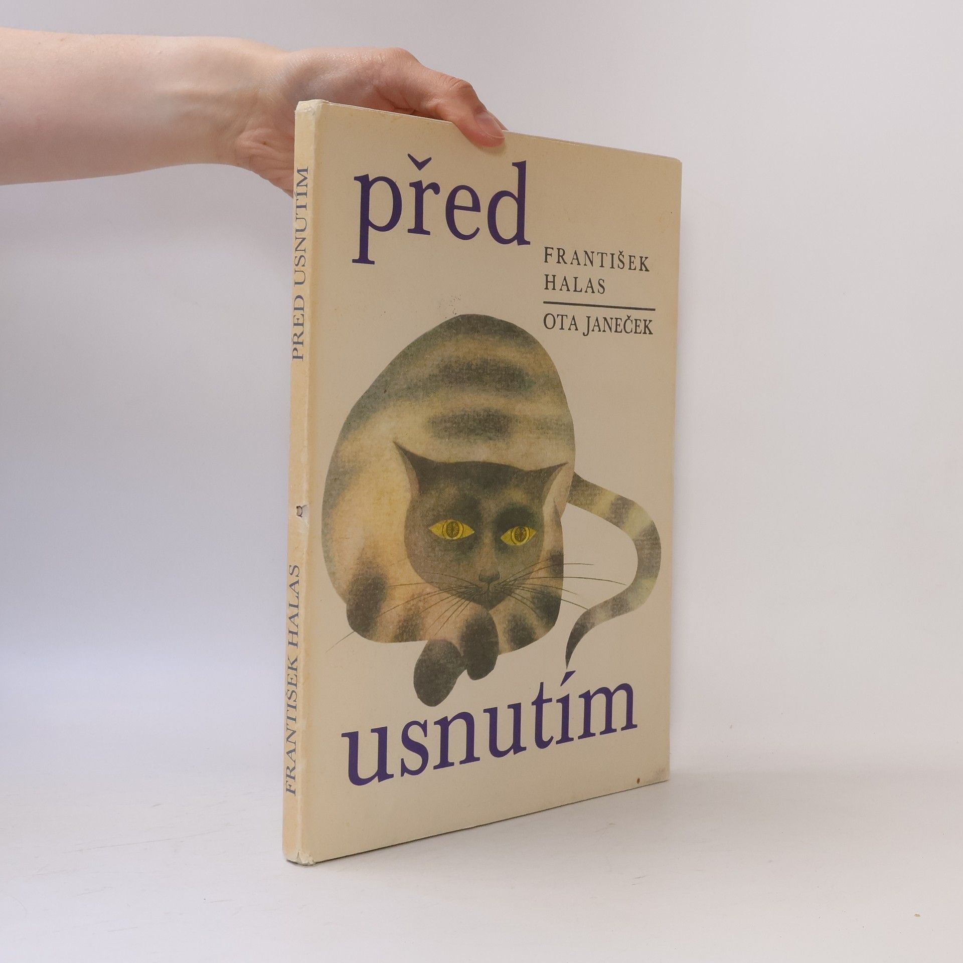Před usnutím