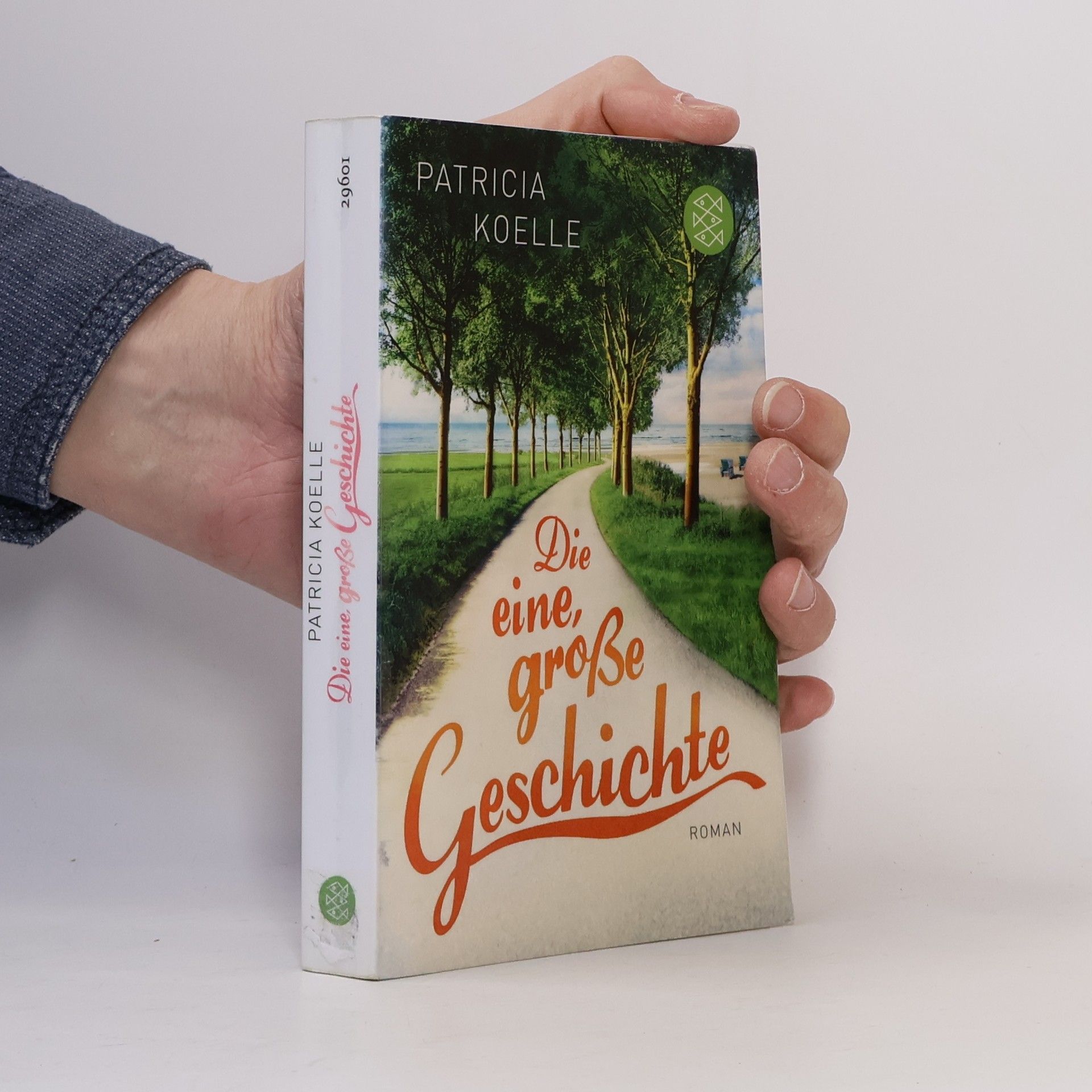 Patricia Koelle Die eine, große Geschichte