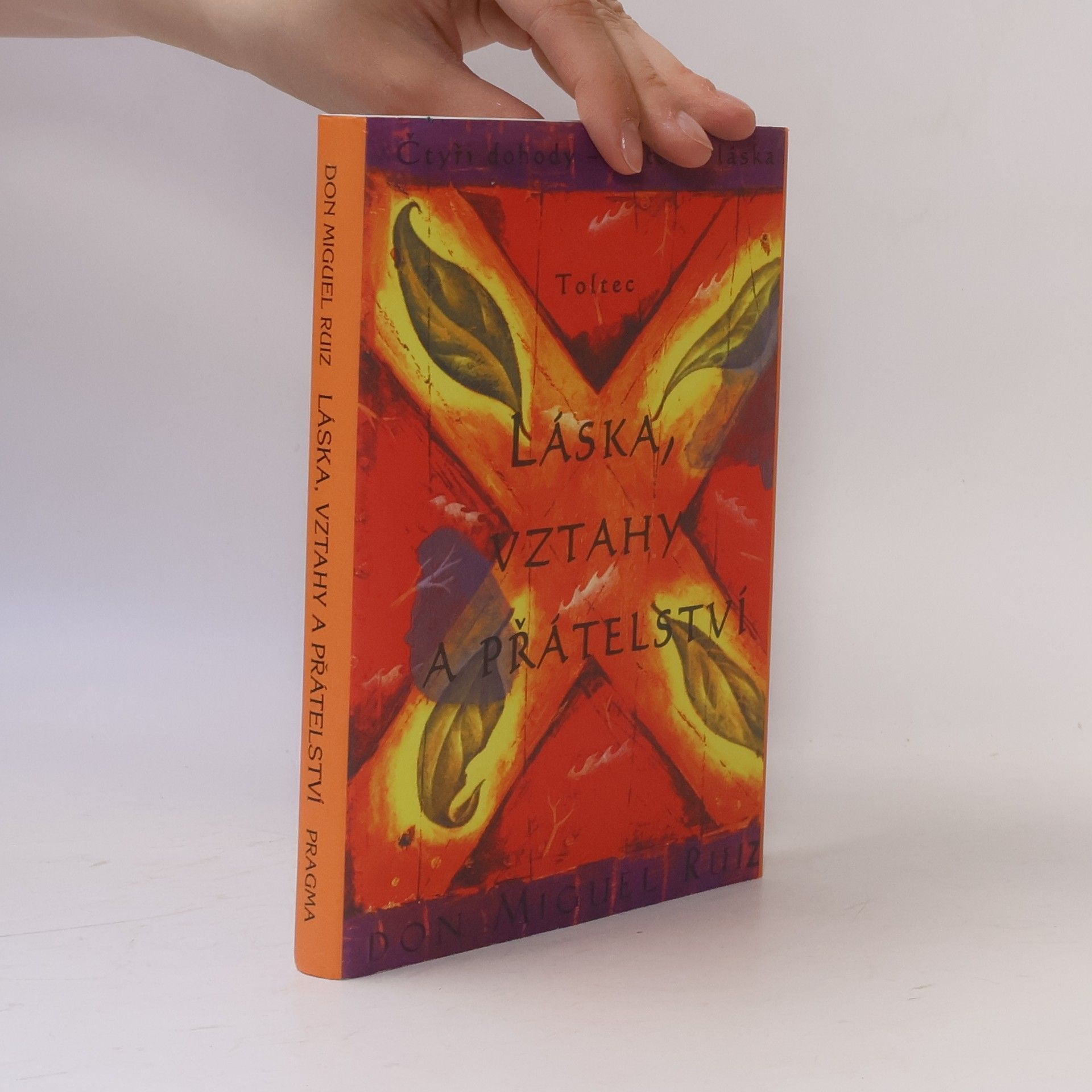 Don Miguel Ruiz Láska, vztahy a přátelství