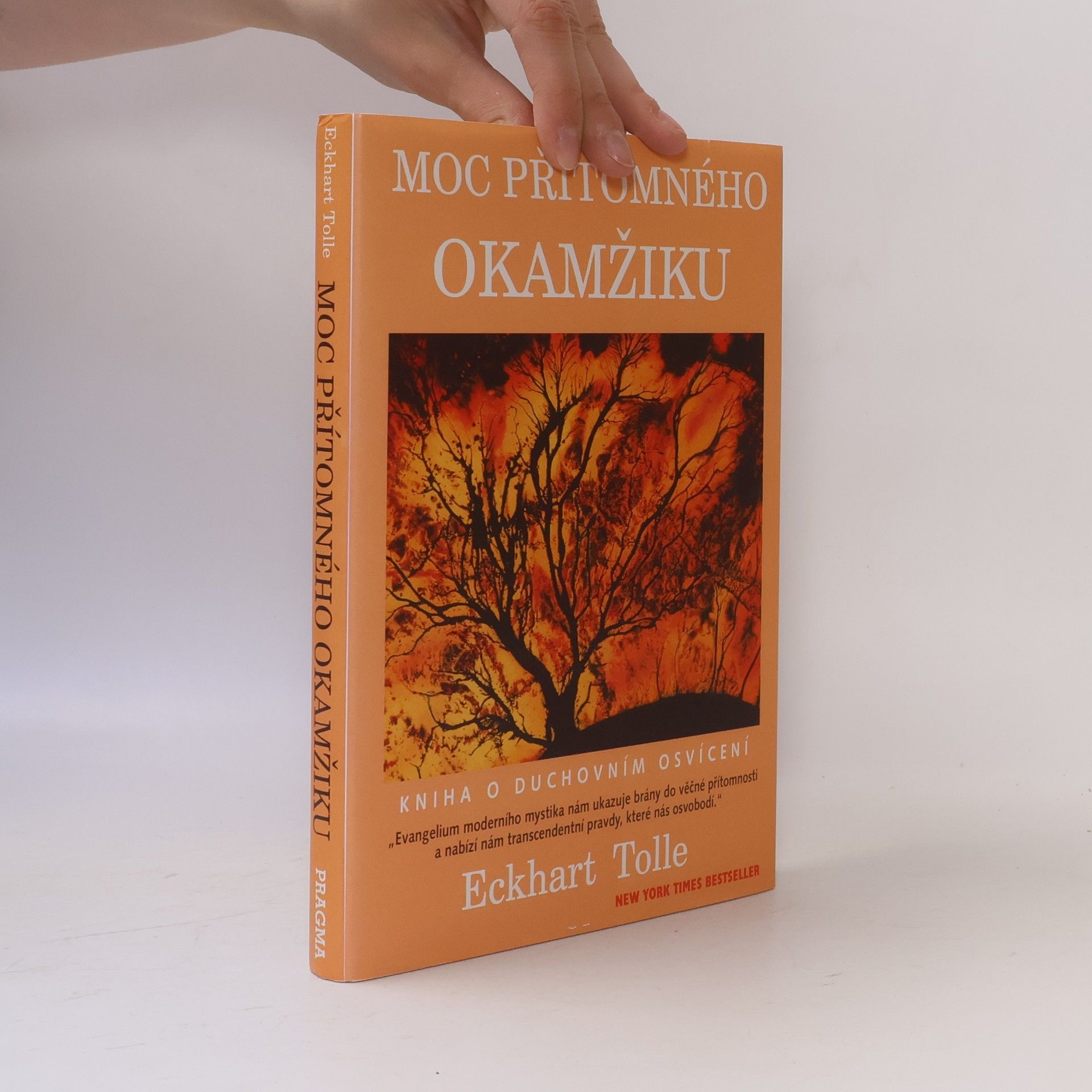 Eckhart Tolle Moc přítomného okamžiku