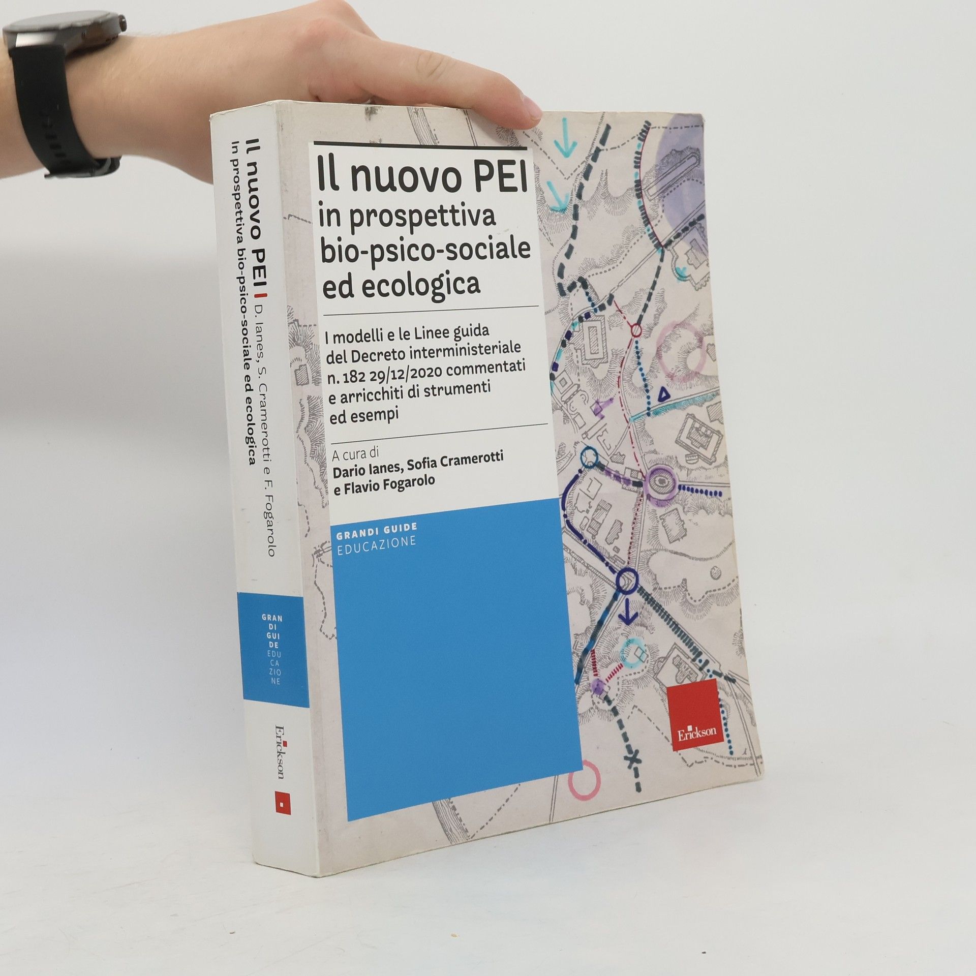 Flavio Fogarolo Il nuovo PEI in prospettiva bio-psico-sociale e ecologica